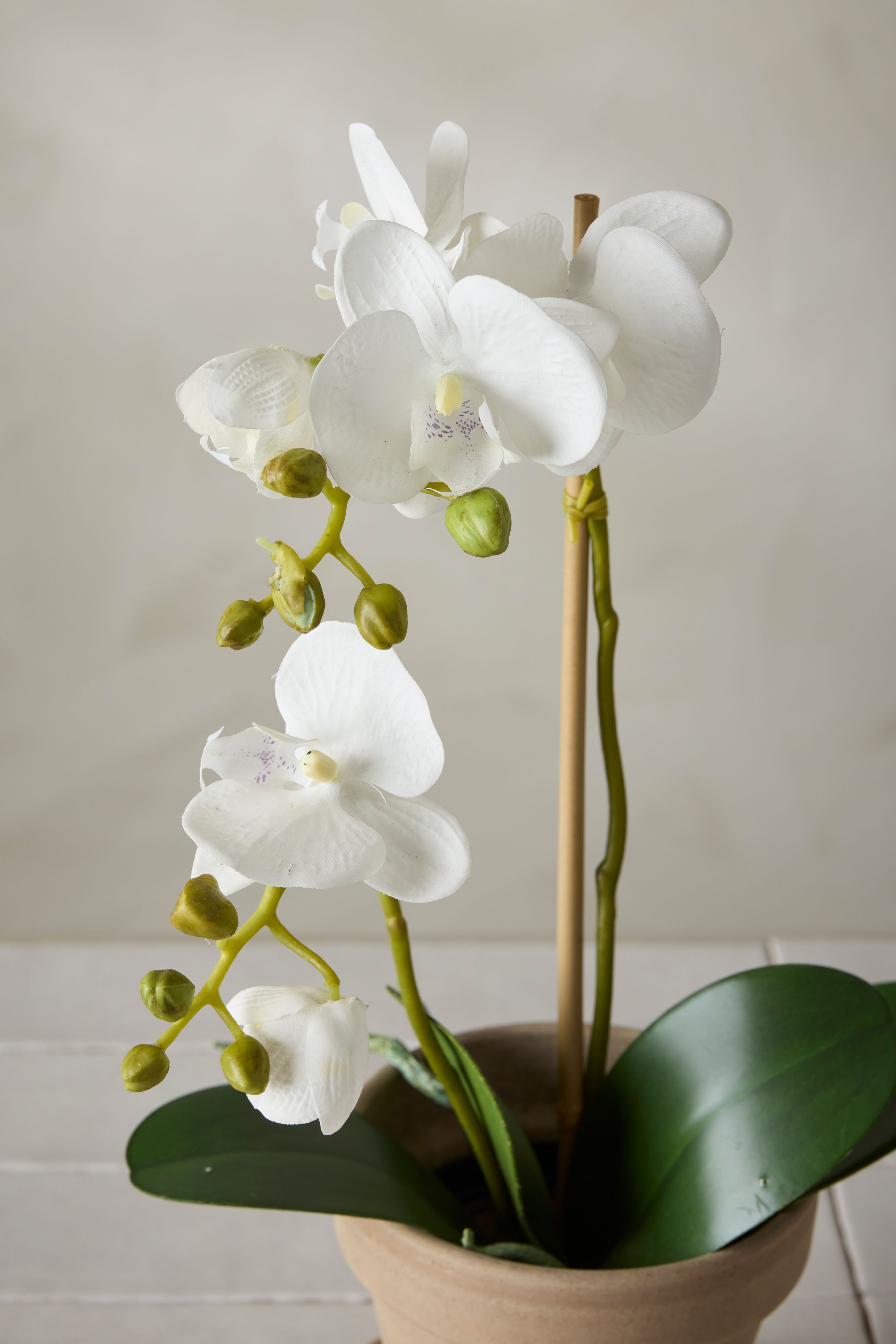 Kunstig hvit Phalaenopsis 45 cm