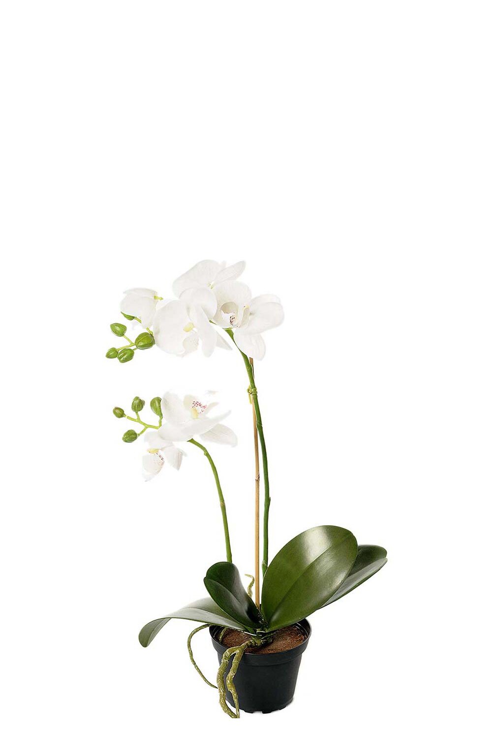 Kunstig hvit Phalaenopsis 45 cm
