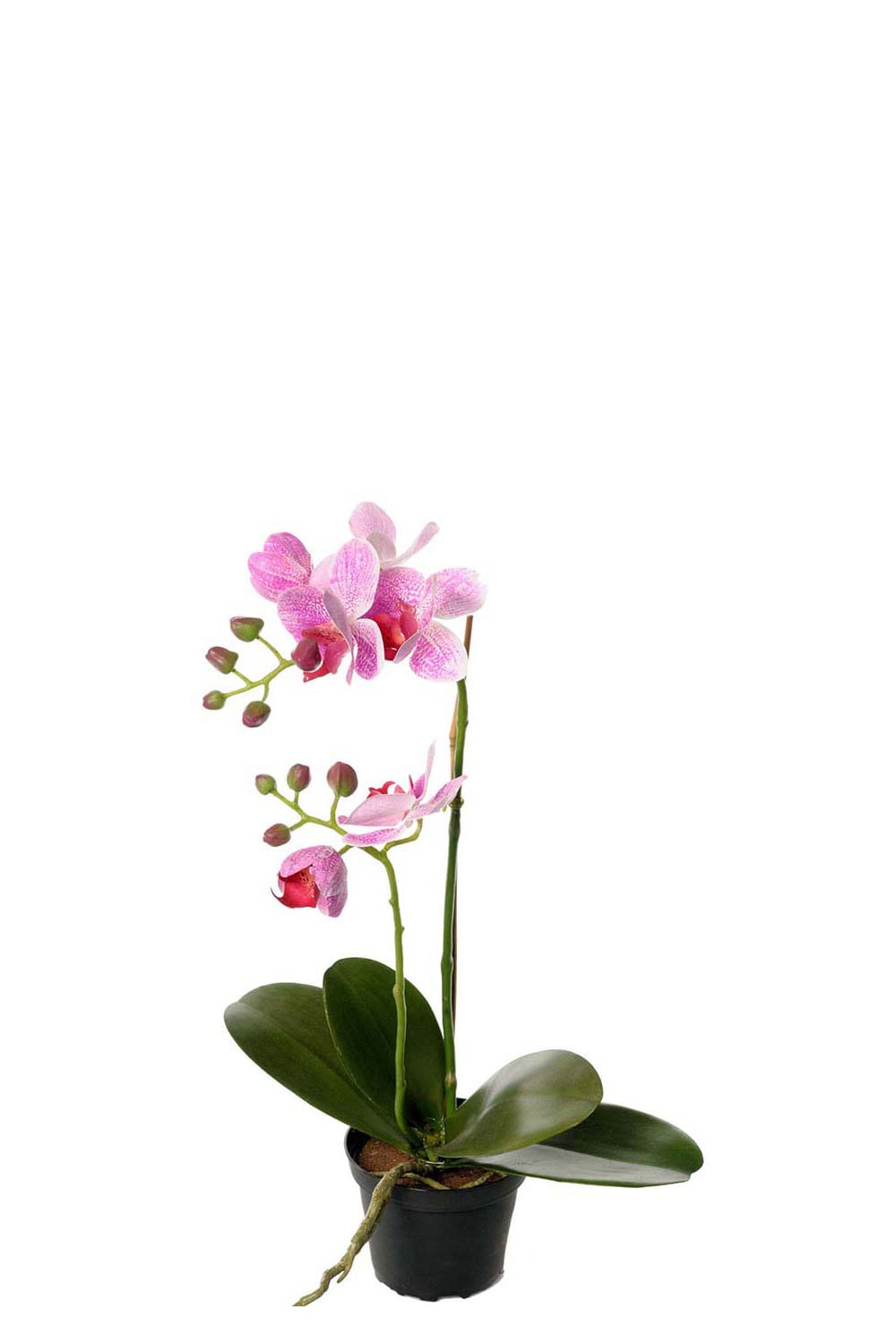 Kunstig lilla Phalaenopsis 45 cm