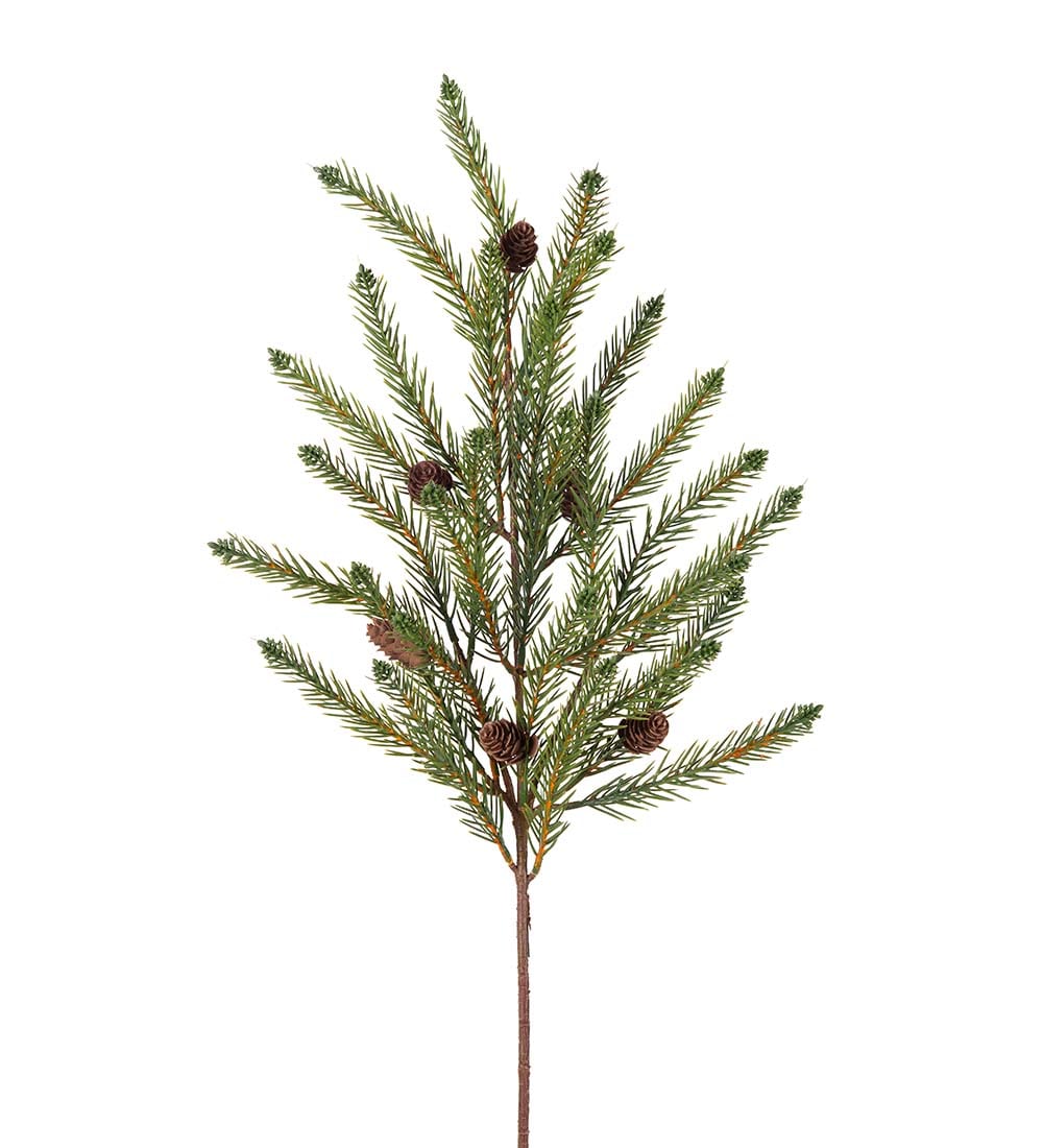 Grankvist med kongler