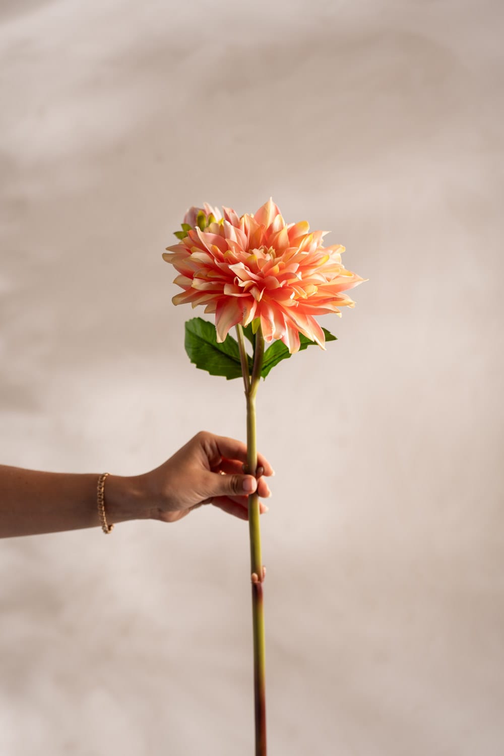 Kunstig aprikosfarget Dahlia 70 cm