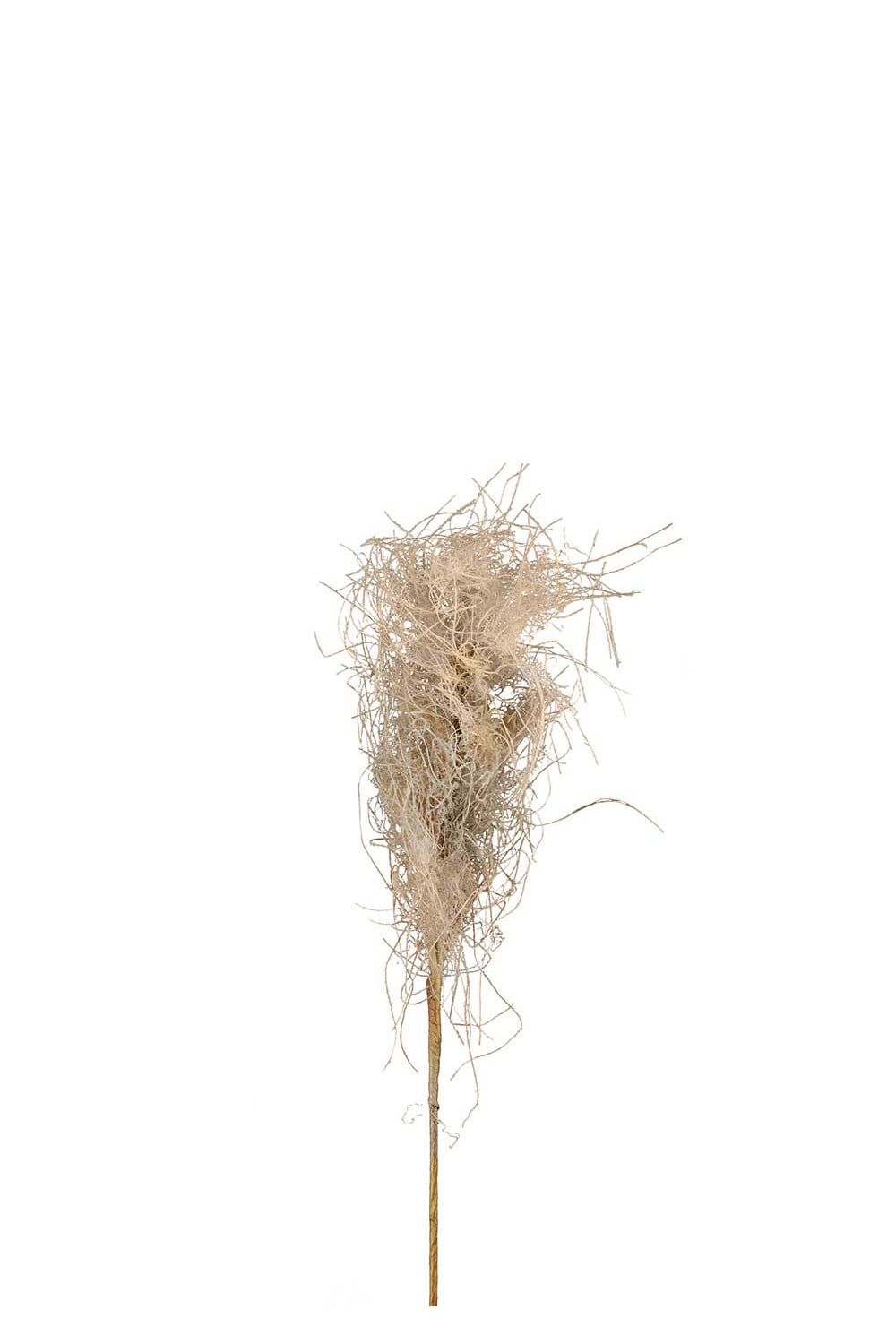 Kunstig naturfarget Gress 75 cm