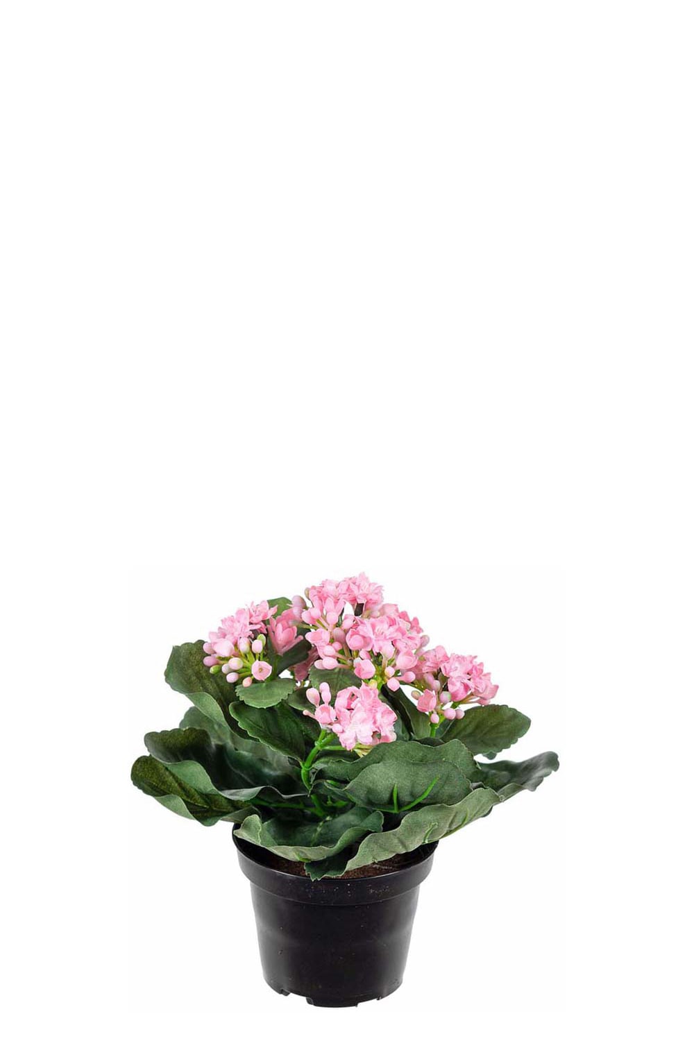 Kunstig rosa Kalanchoe 20 cm