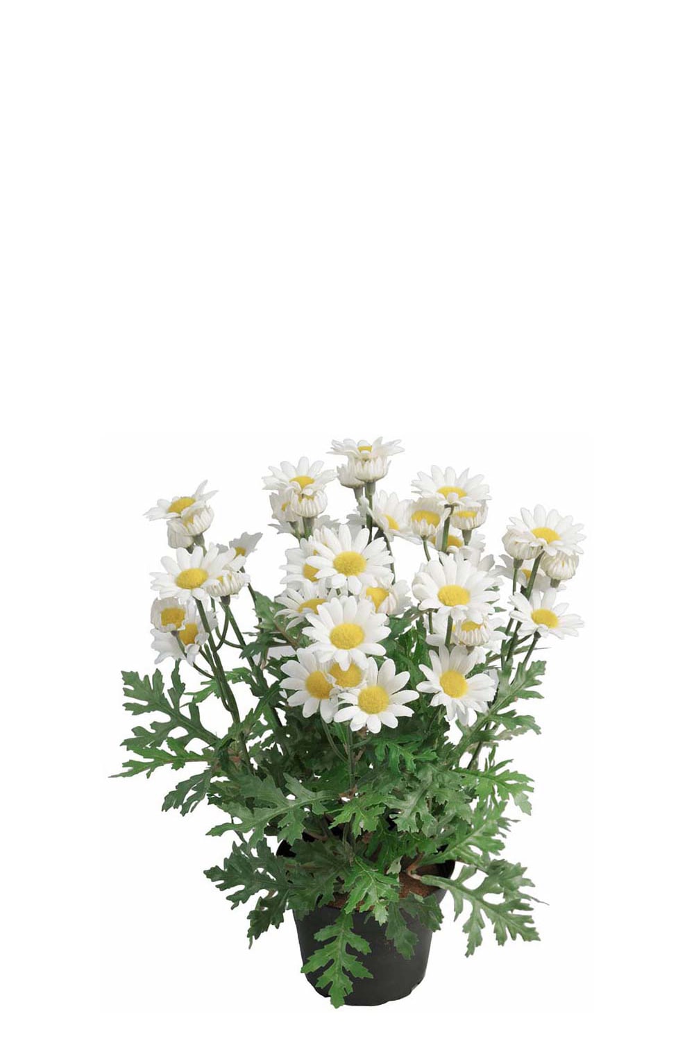 Kunstig hvit margeritt 30 cm