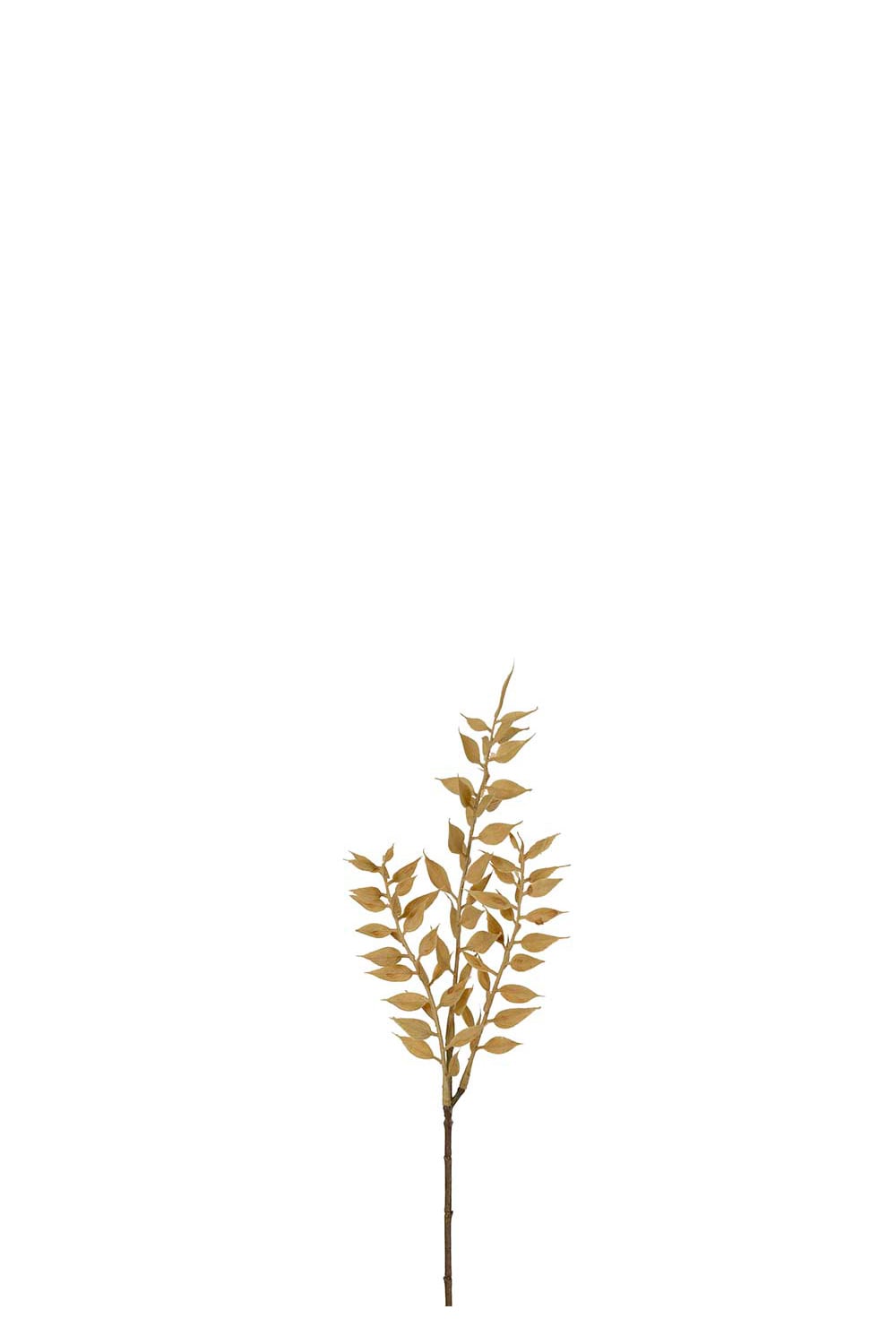 Kunstig beige Ruscus 35 cm