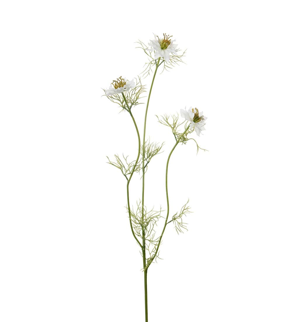 Jomfru i det grønne