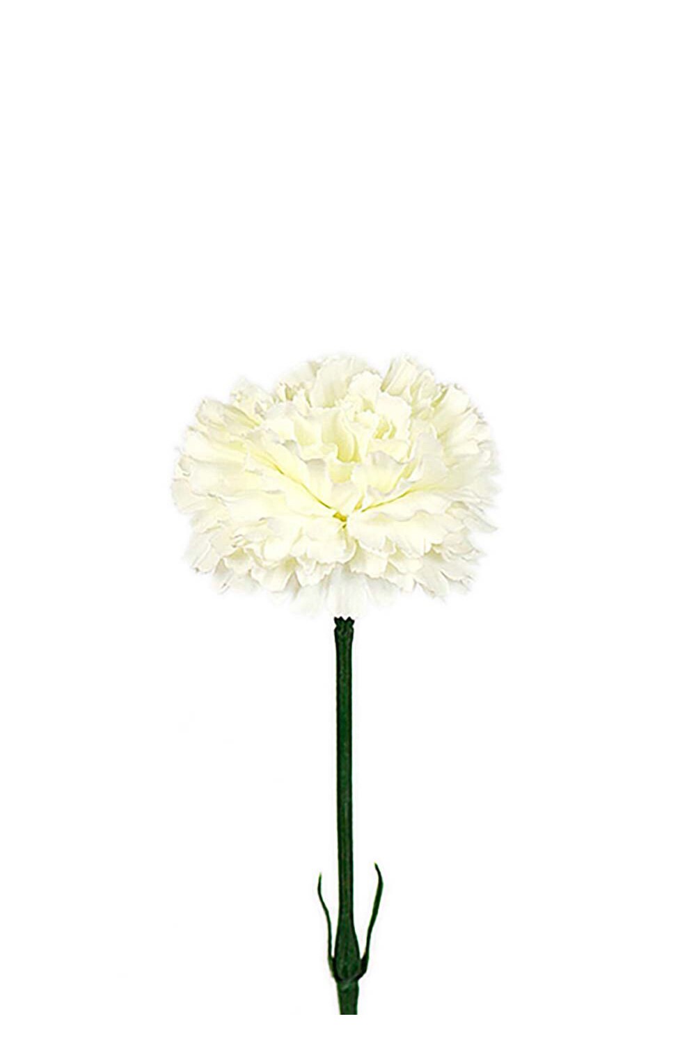 Kunstig hvit Nellik 55 cm