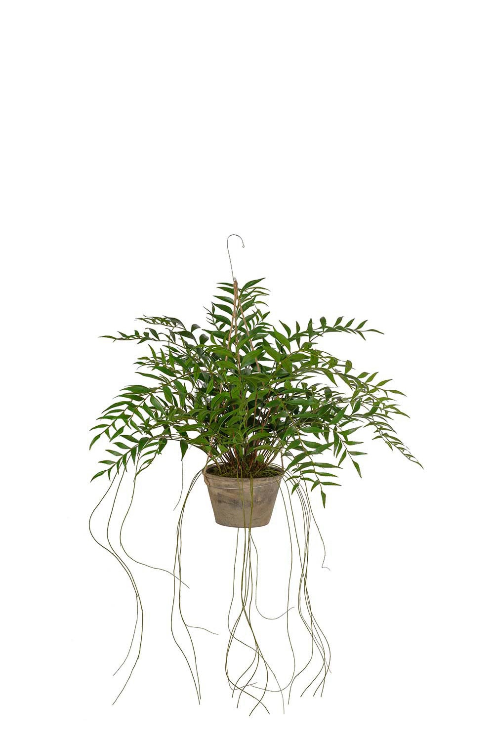Kunstig grønn Hoya 65 cm