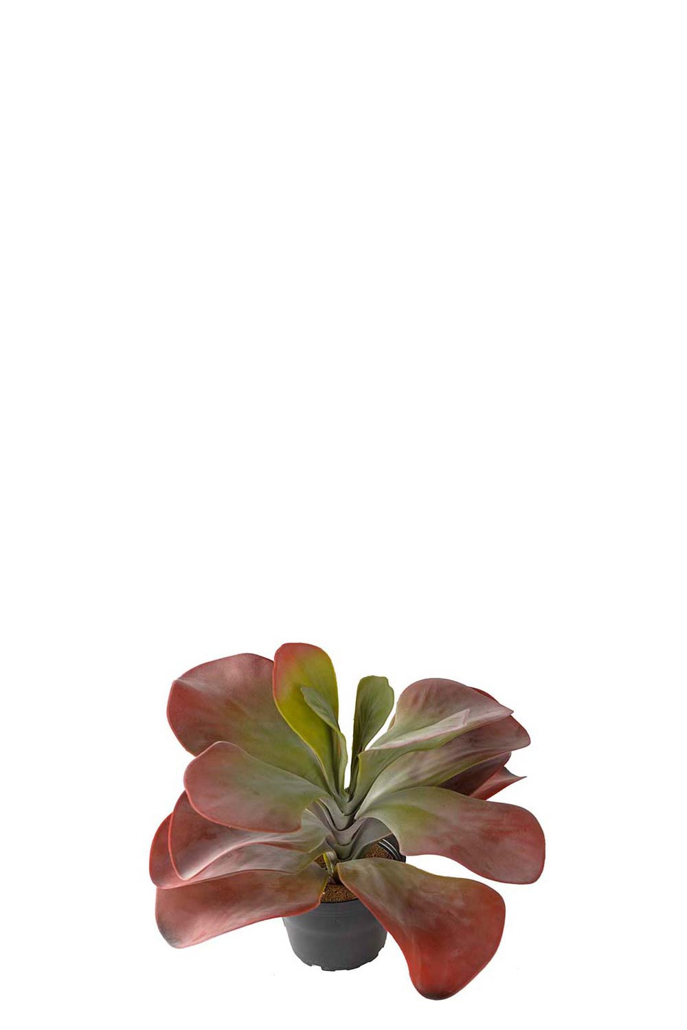 Kunstig burgunderfarget Kalanchoe 25 cm