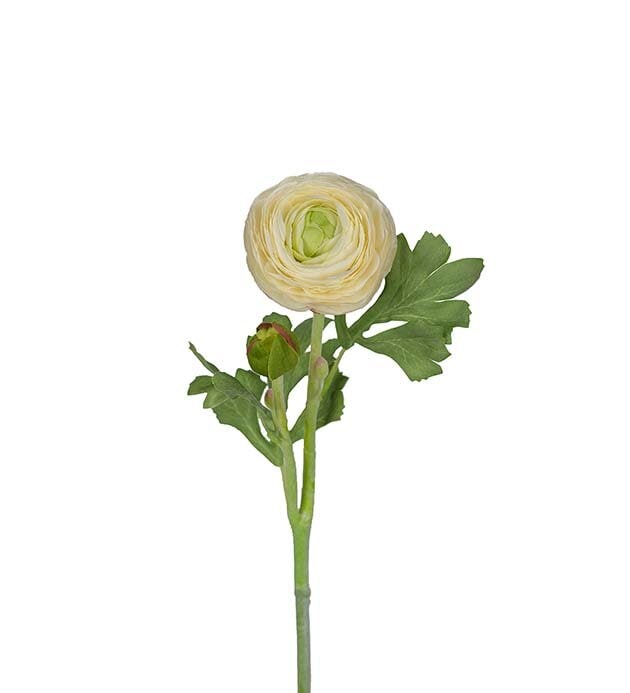 Kunstig hvit ranunkel 50 cm