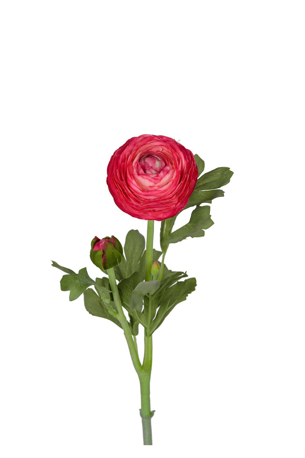 Kunstig cerise ranunkel 50 cm