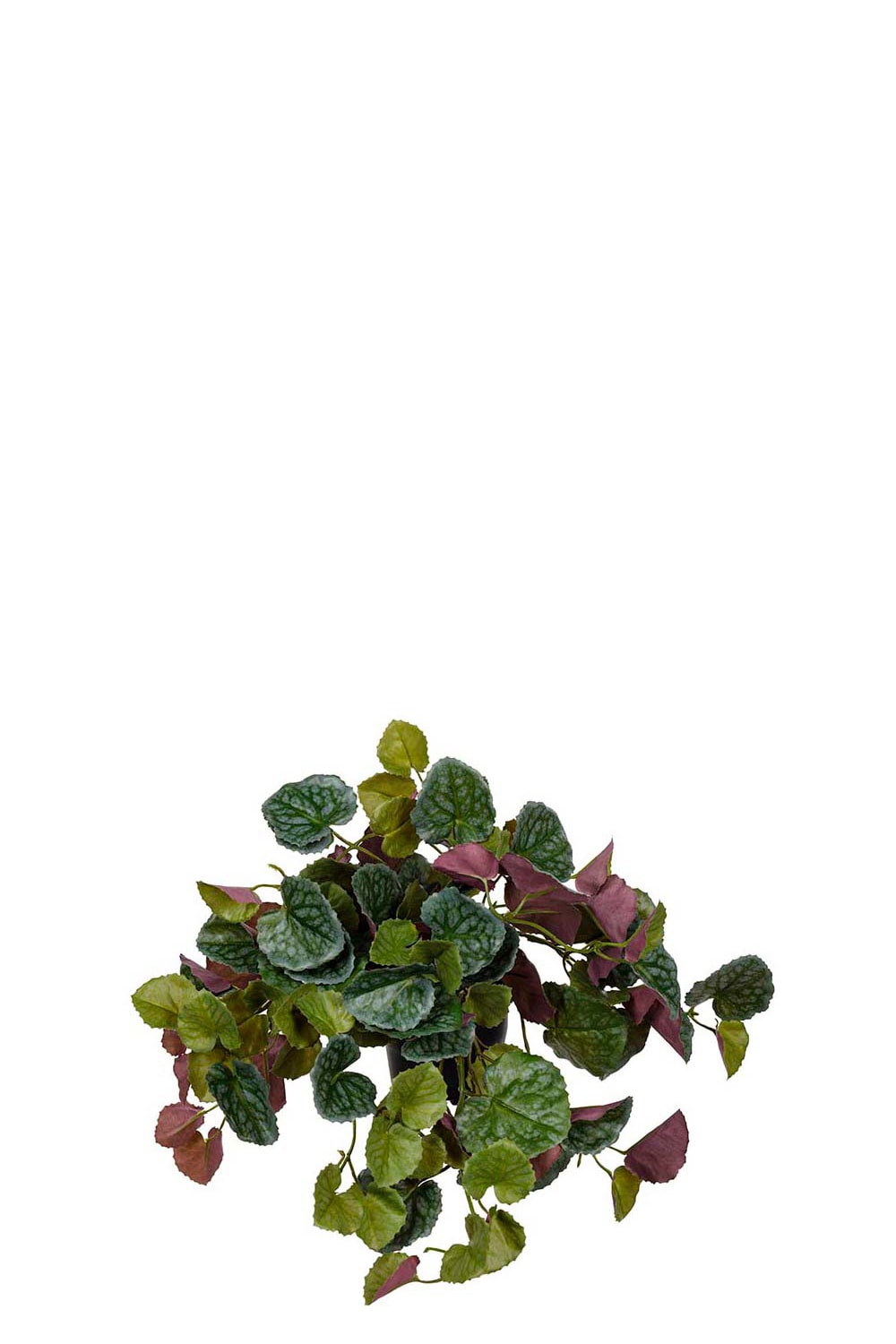 Kunstig grønn Senecio 23 cm