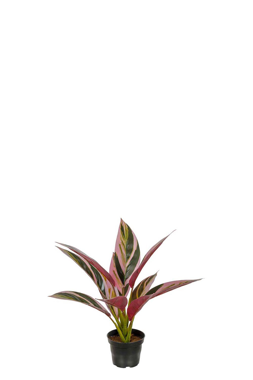 Kunstig grønn Cordyline 38 cm