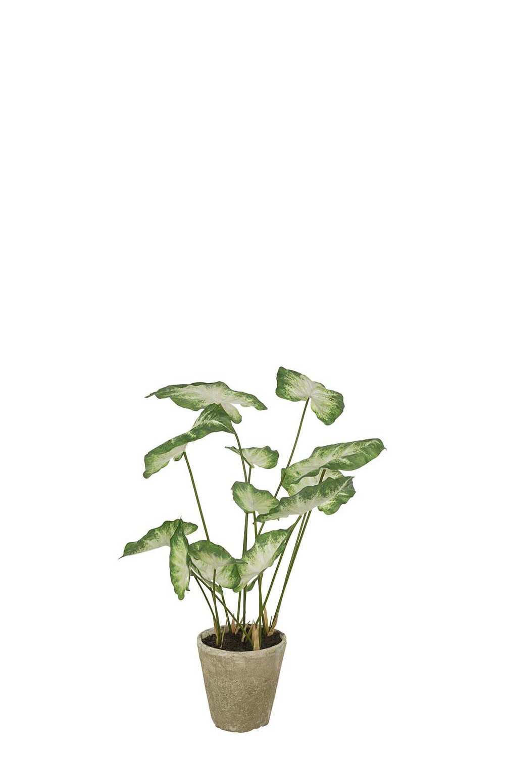 Kunstig grønn Caladium 80 cm