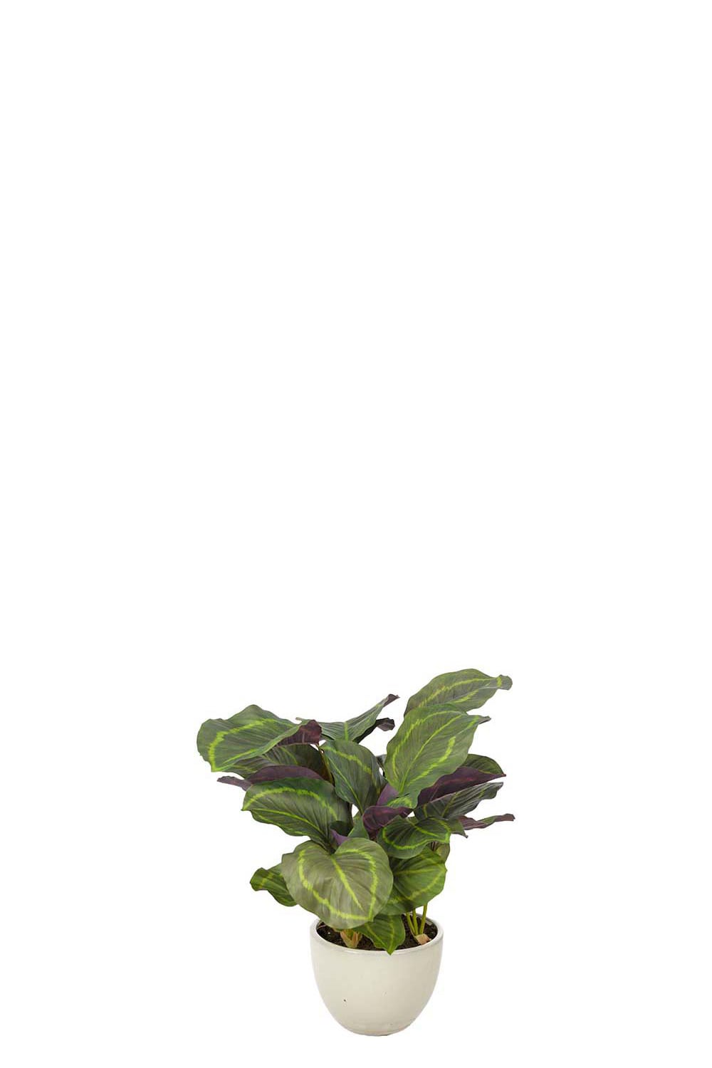 Kunstig grønn Calathea 65 cm