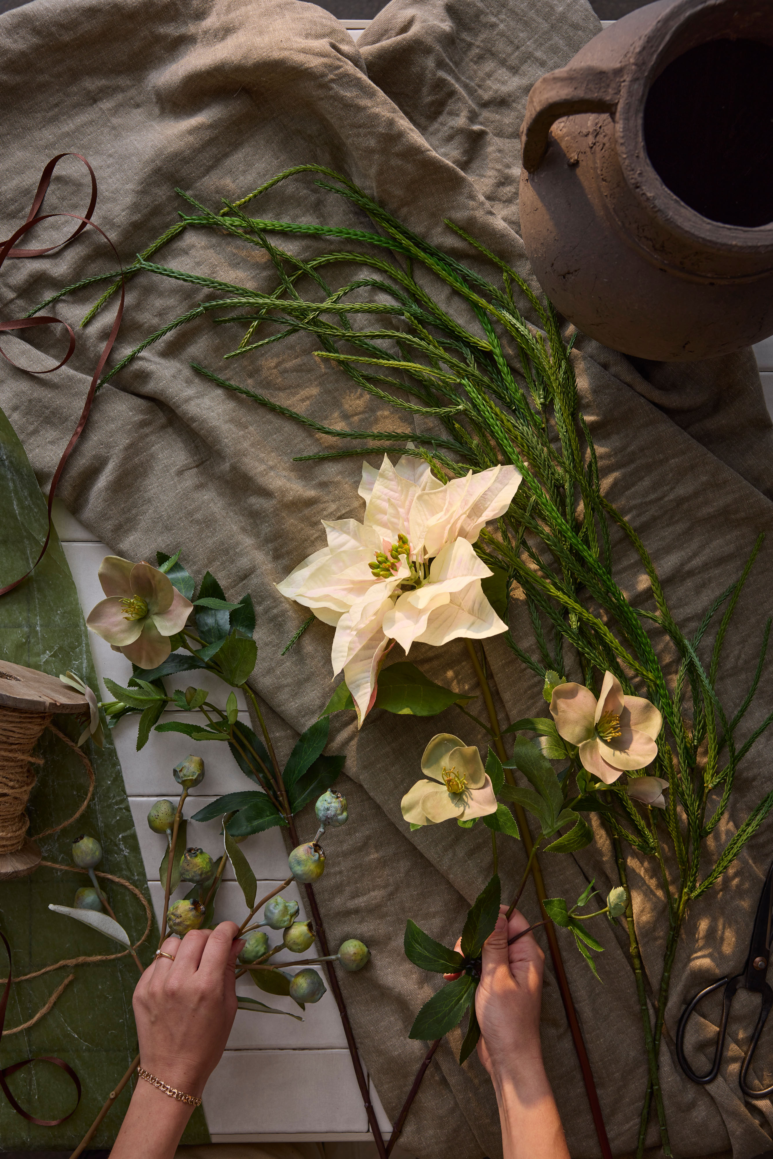 Eukalyptuskvist med bær