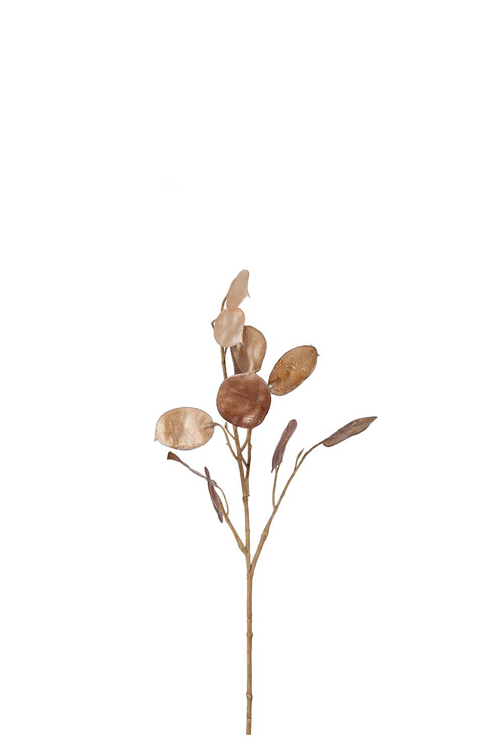 Kunstig brun Lunaria 55 cm