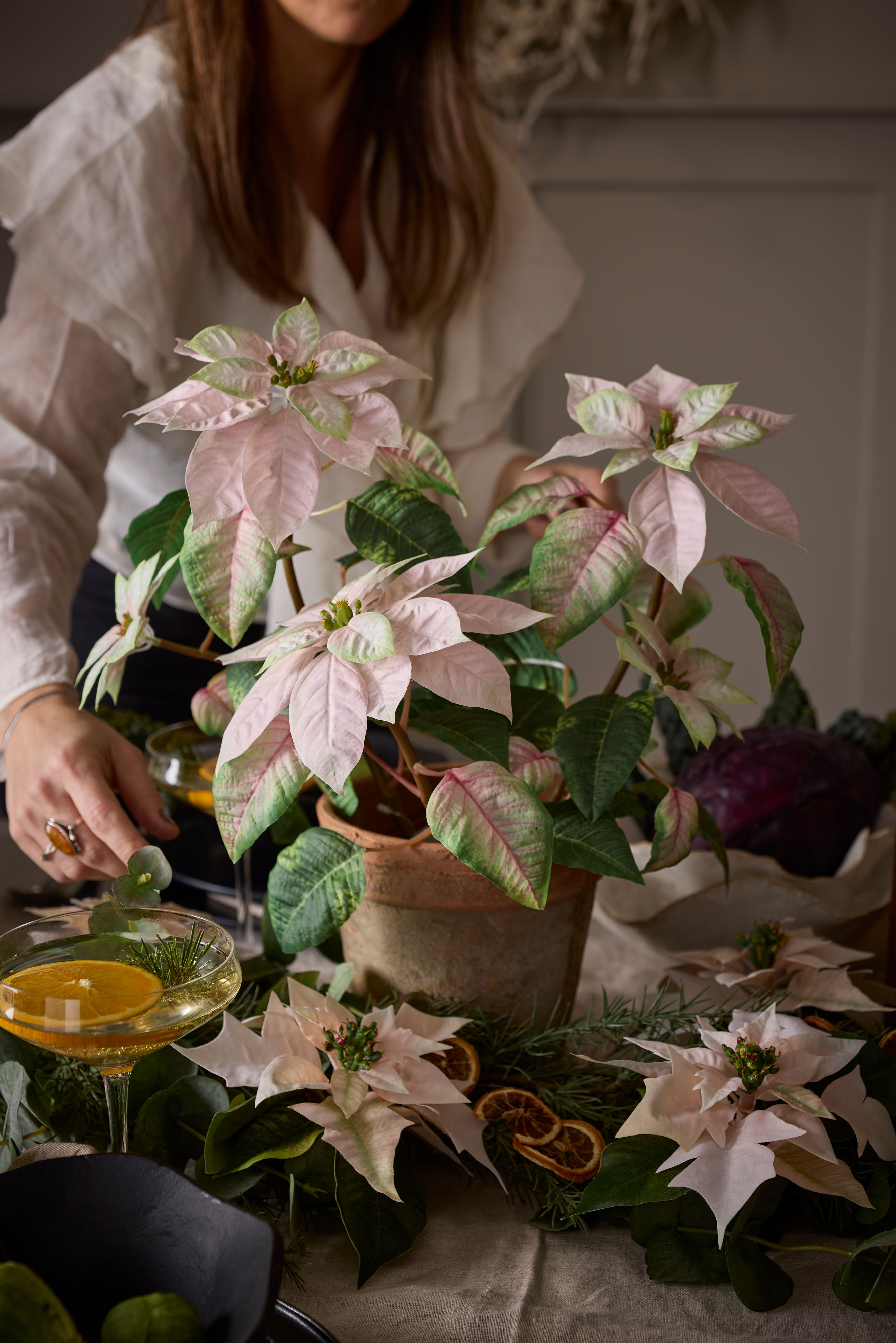 Høststjerne i potte