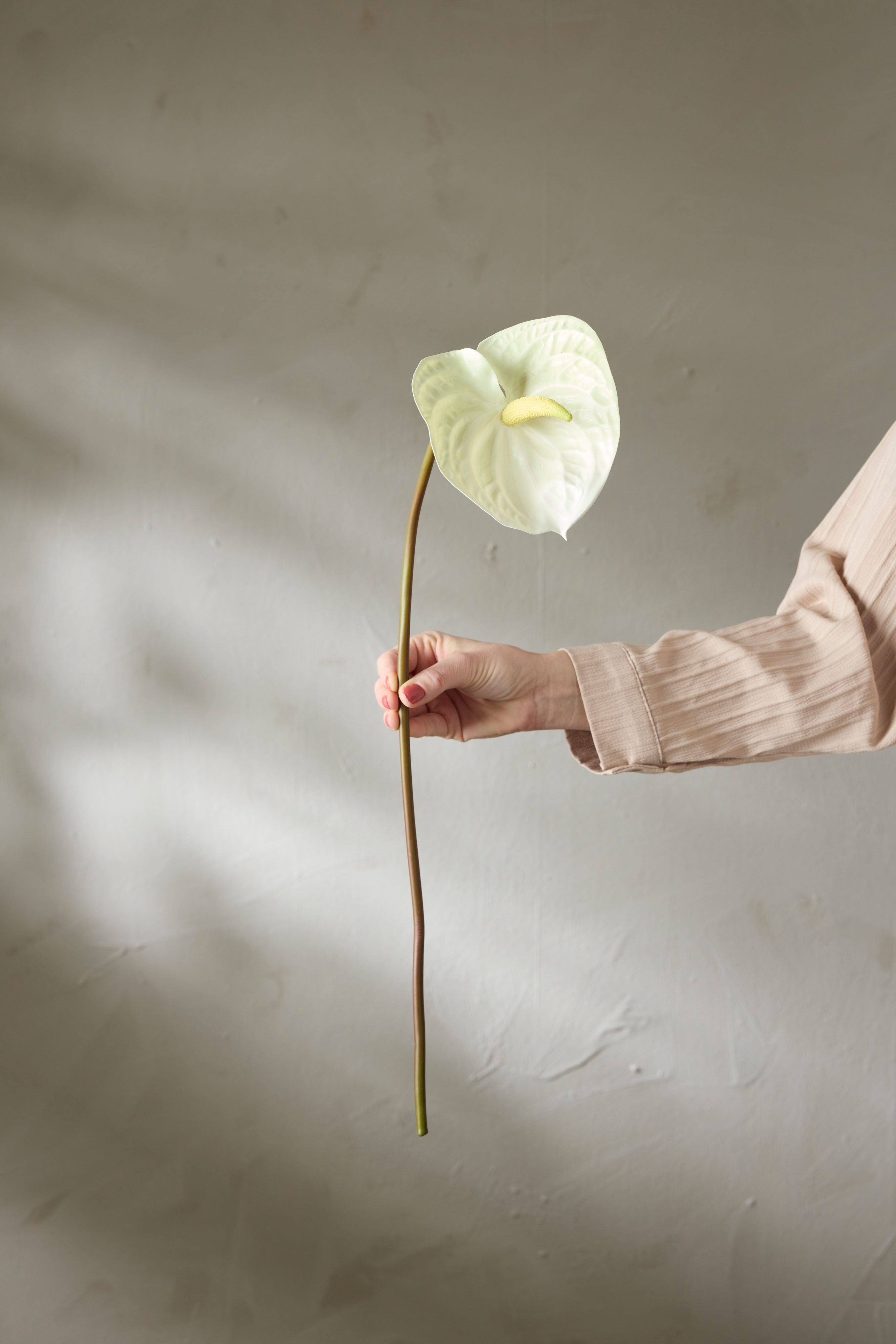 Kunstig hvit Anthurium 70 cm