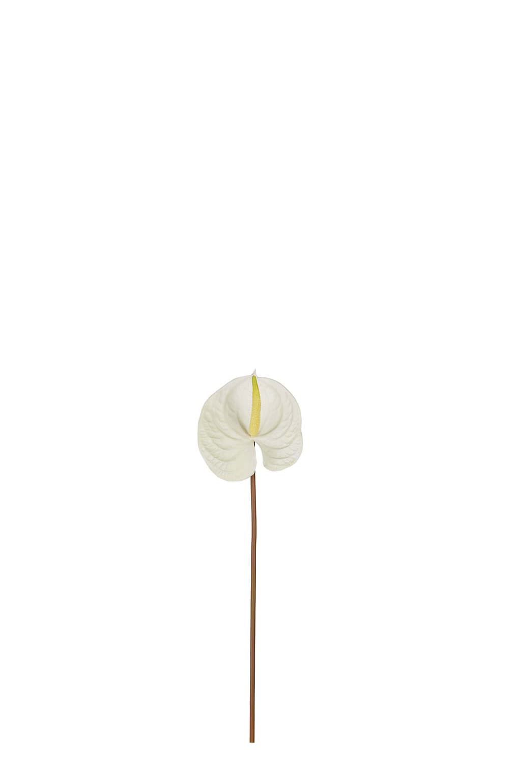 Kunstig hvit Anthurium 70 cm
