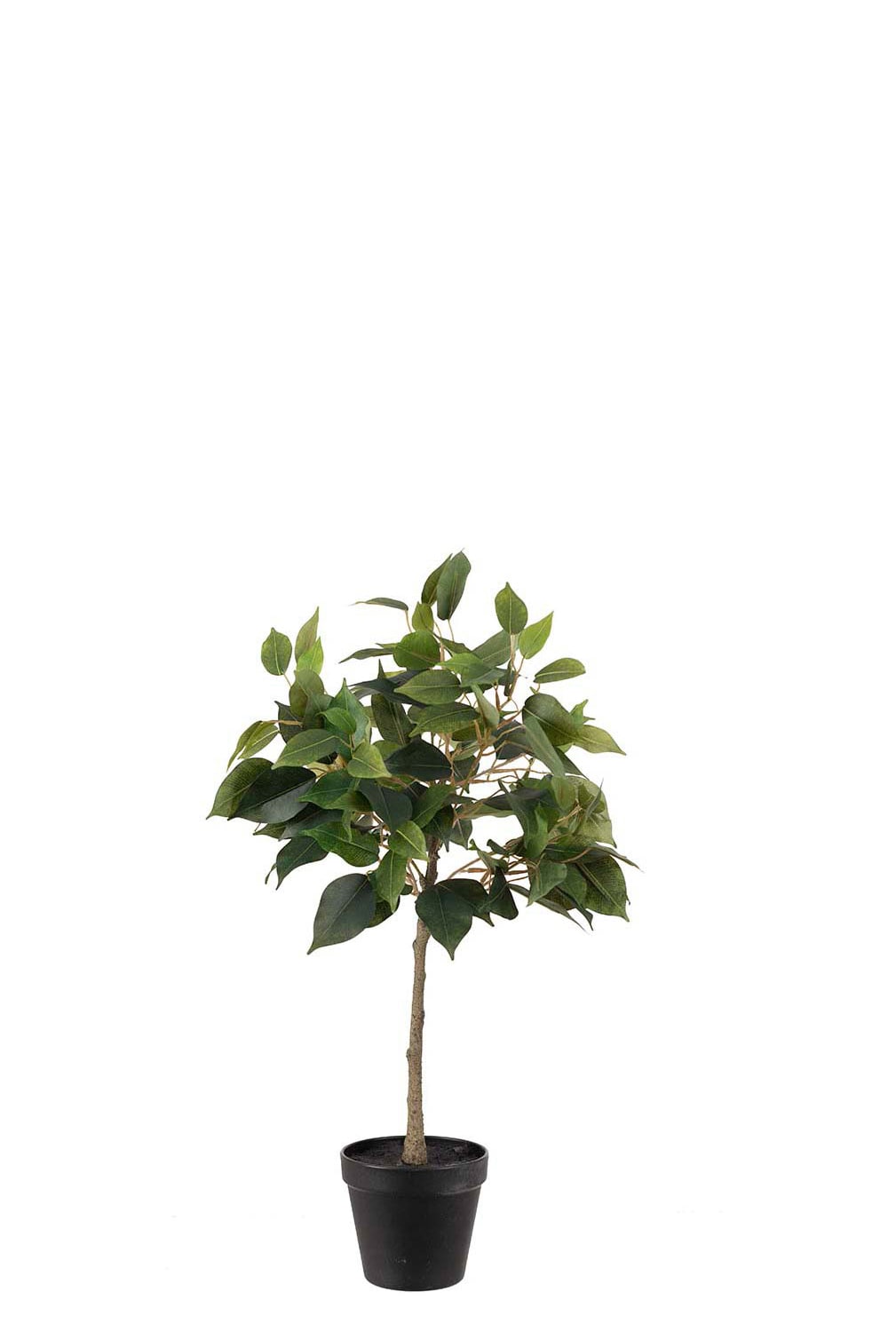Kunstig grønn Benjamin Fikus 55 cm