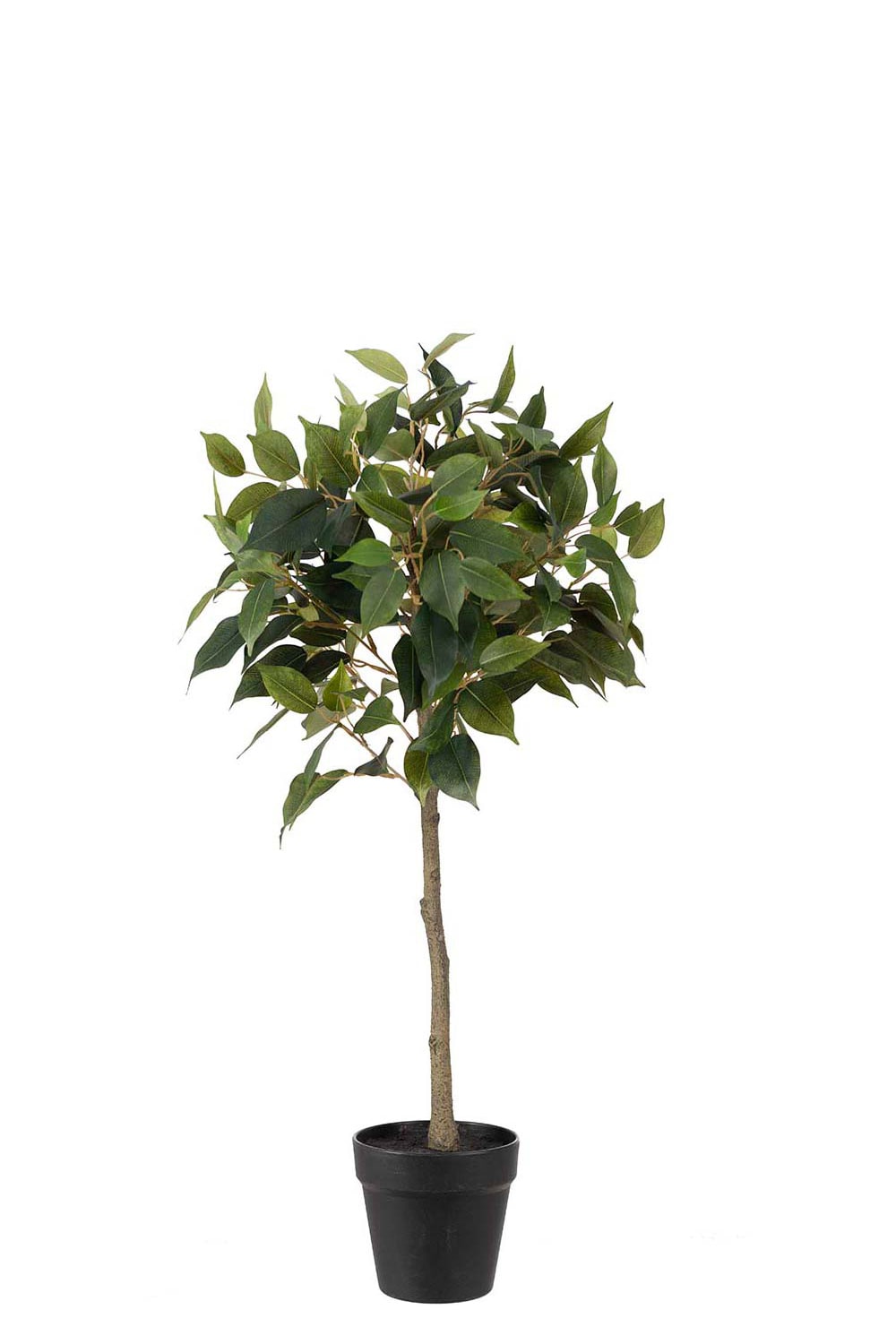 Kunstig grønn Benjaminfiken 75 cm