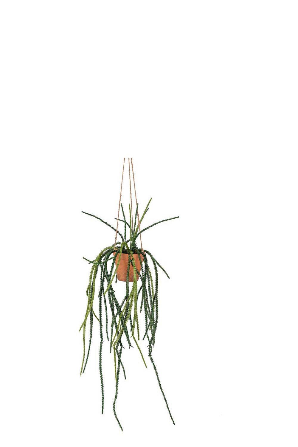 Kunstig grønn Senecio 25 cm