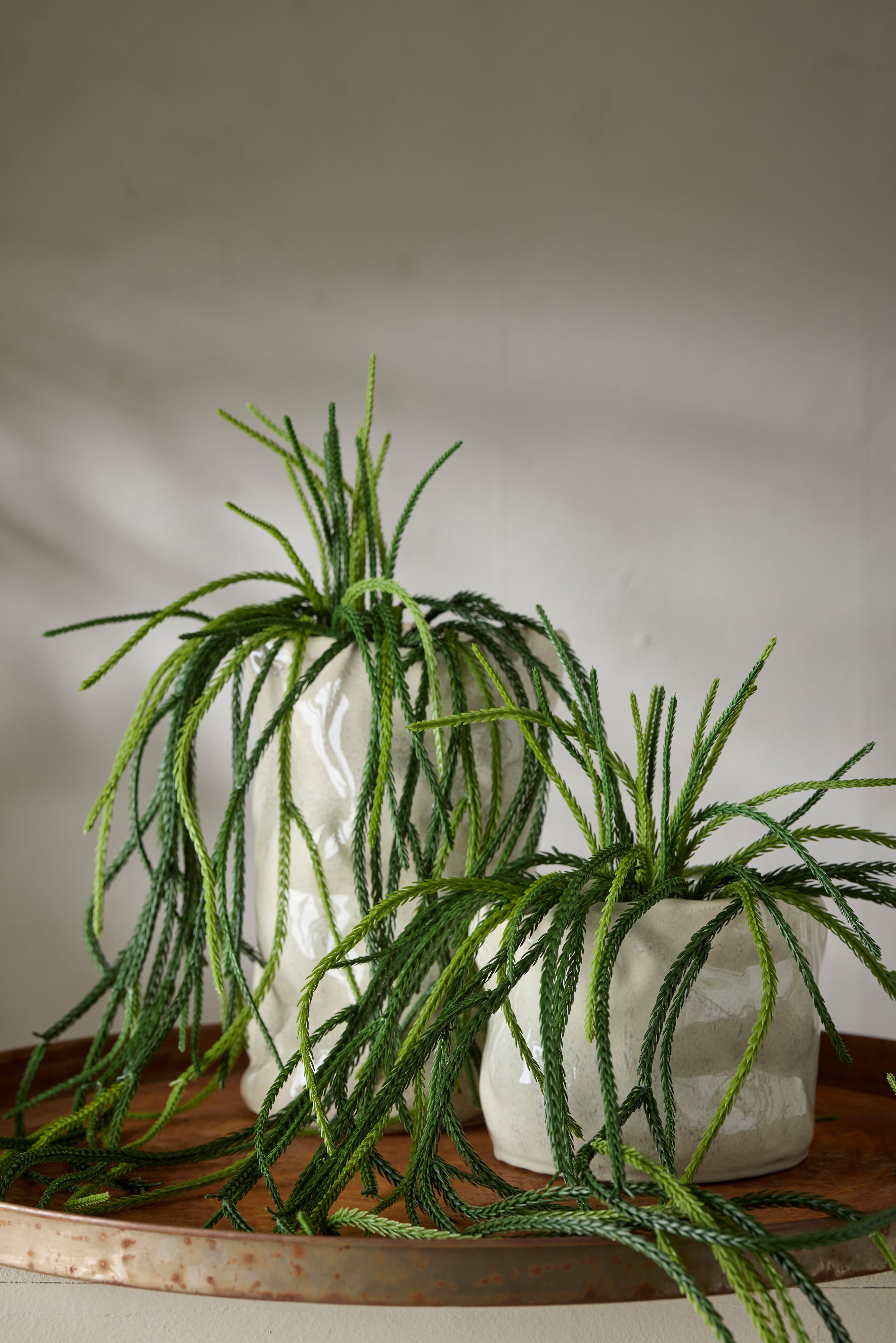 Kunstig grønn Senecio 25 cm