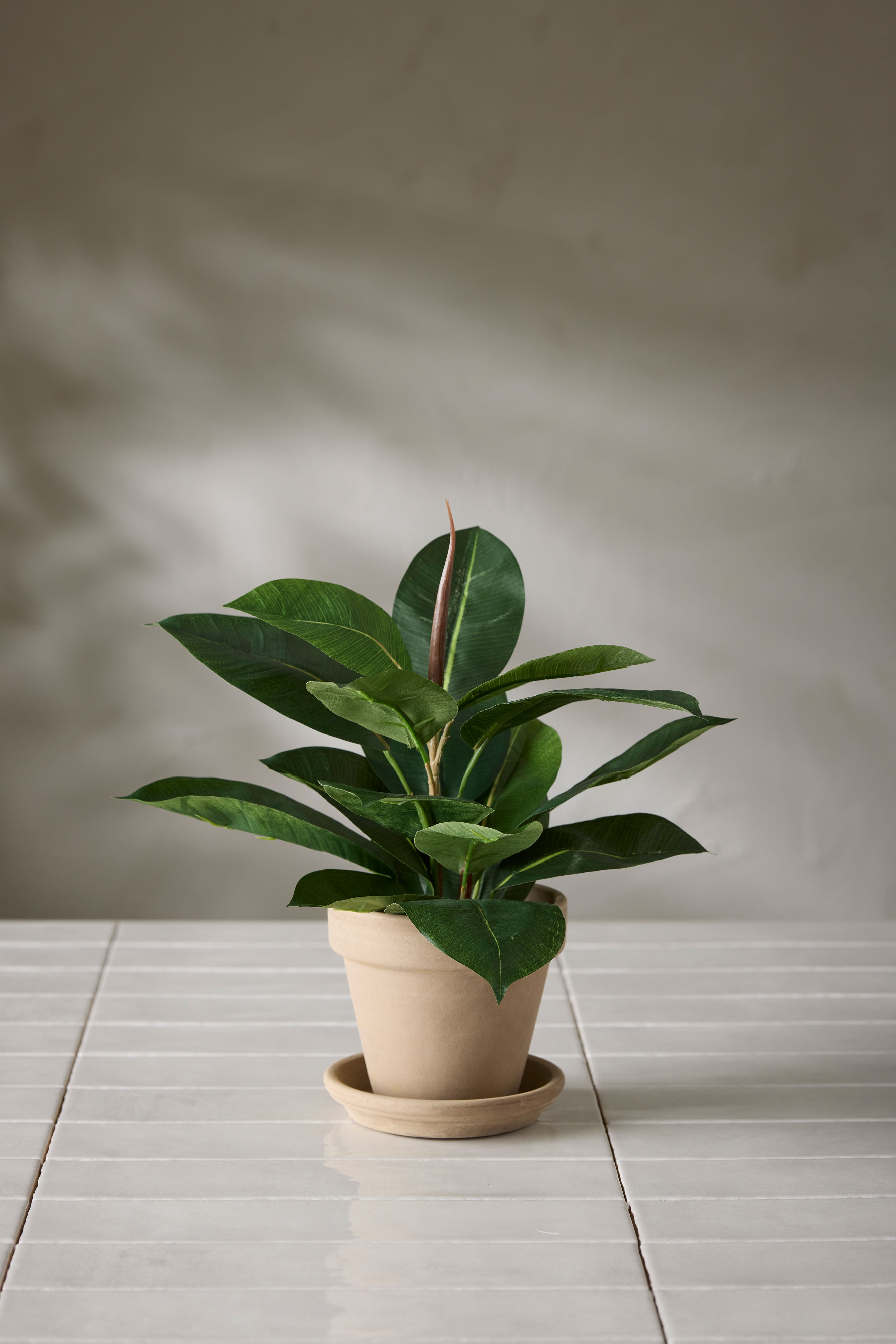 Kunstig grønn Fikus Robusta 35 cm