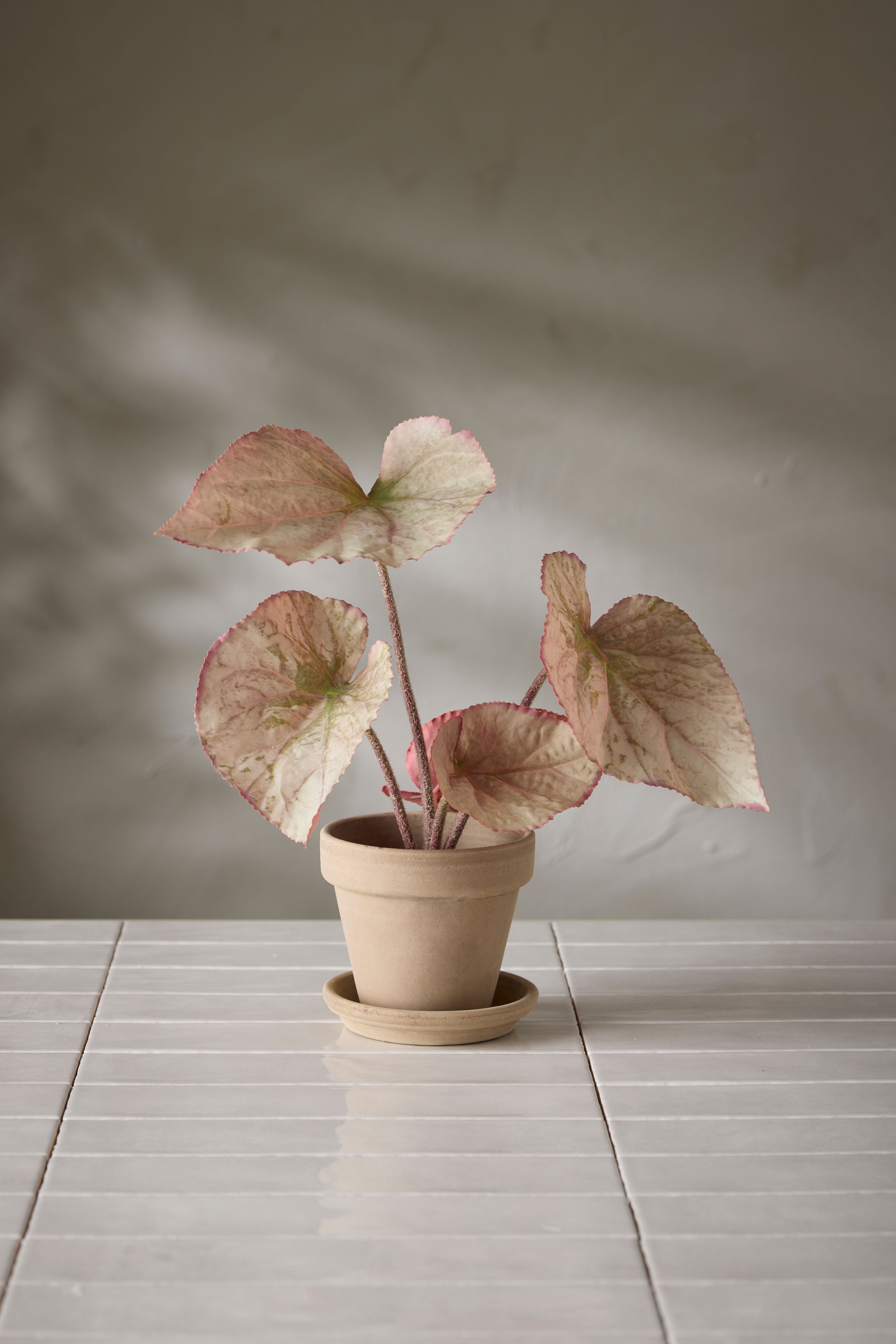Kunstig flerfarget Rexbegonia 35 cm