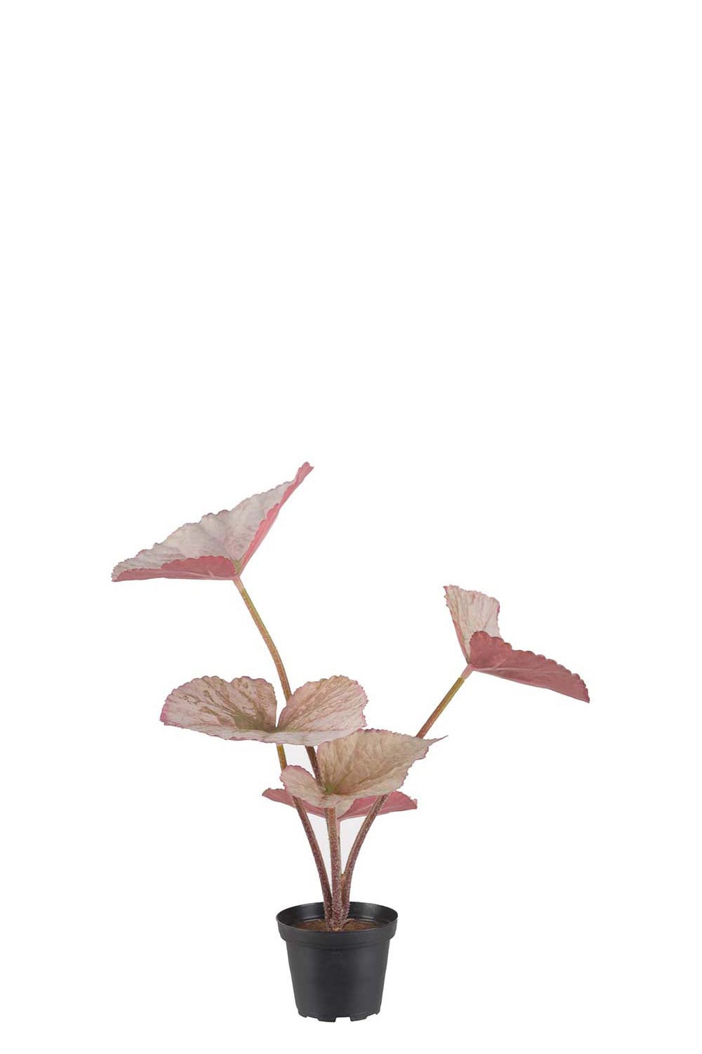Kunstig flerfarget Rexbegonia 35 cm