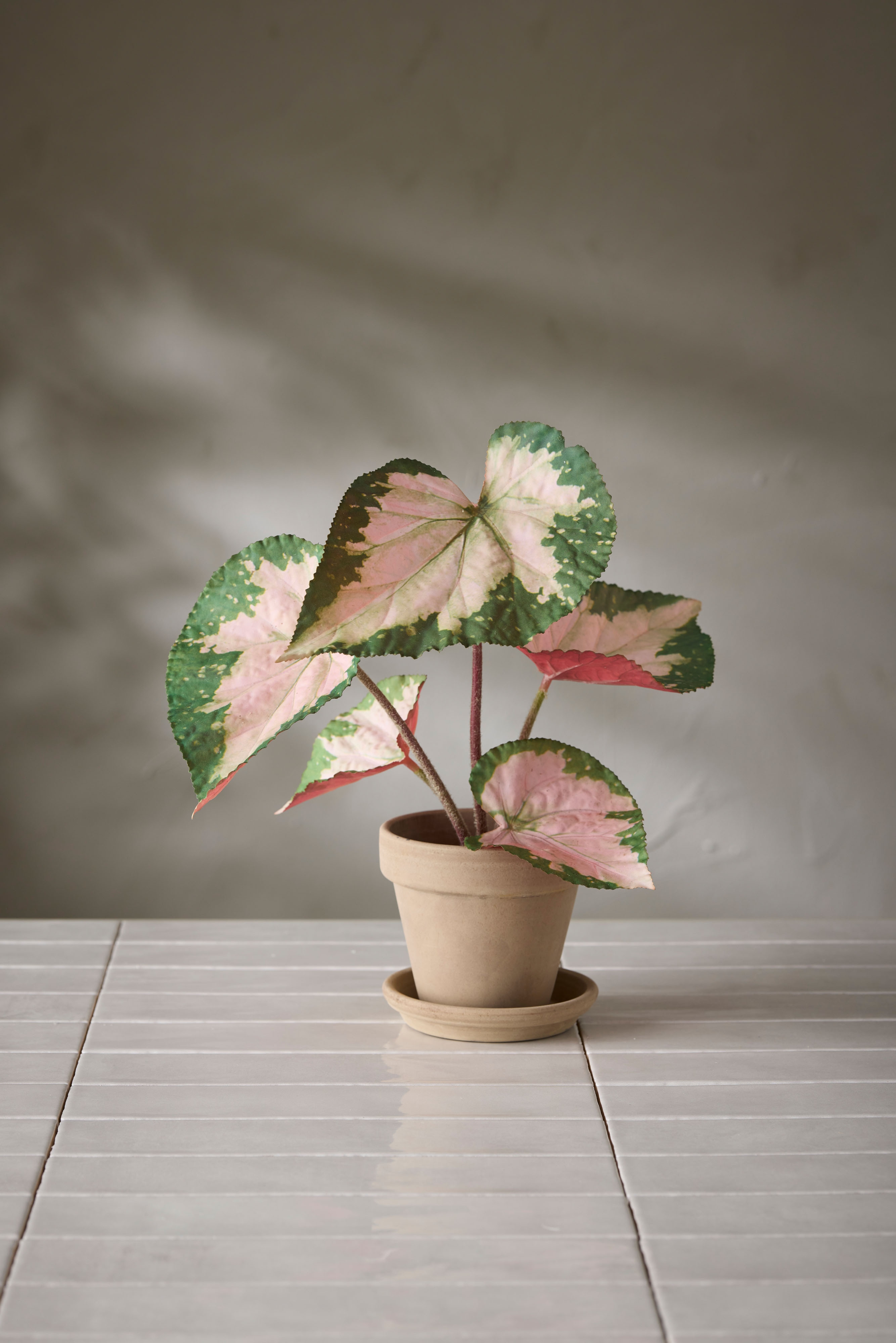 Kunstig flerfarget Rexbegonia 35 cm