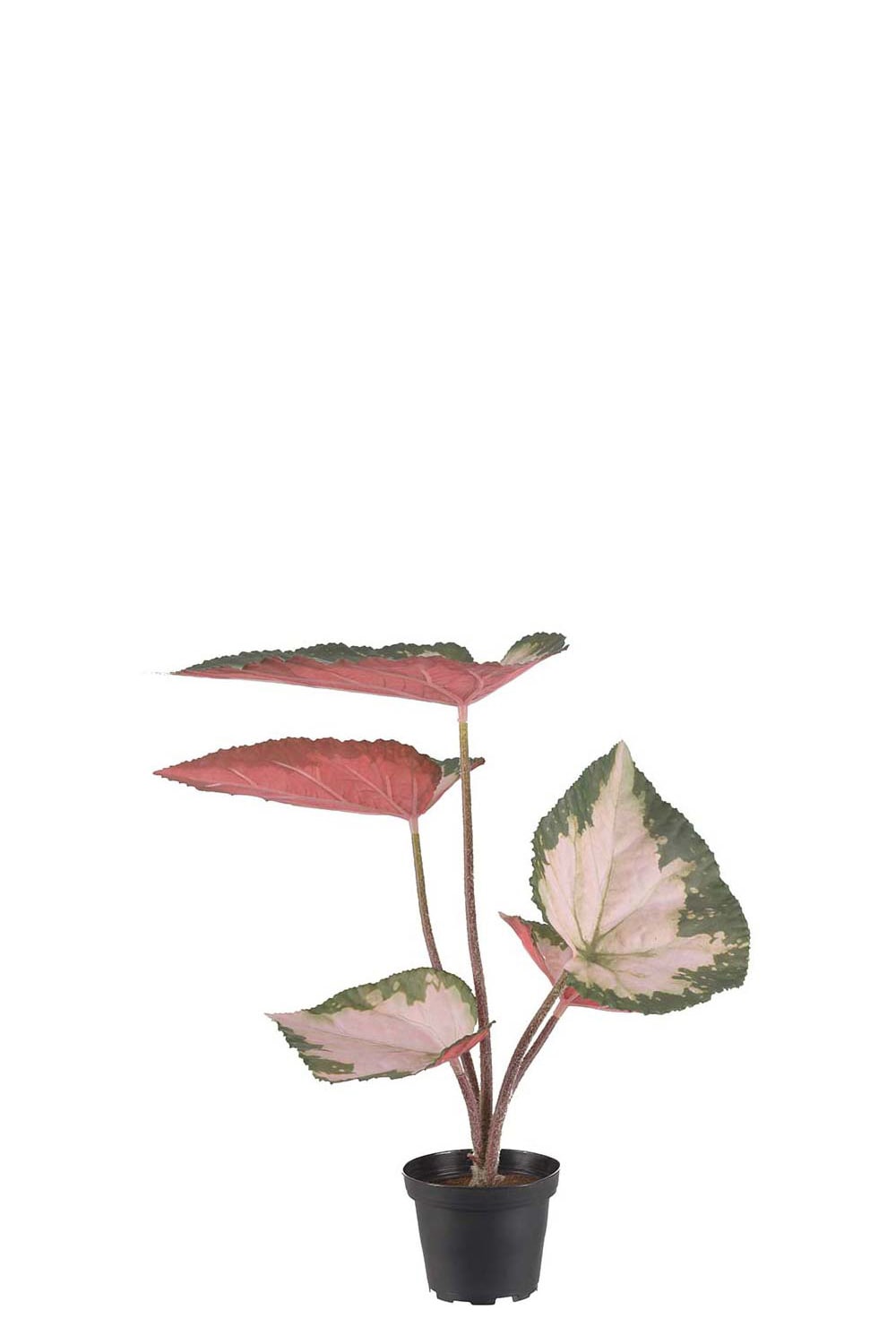 Kunstig flerfarget Rexbegonia 35 cm
