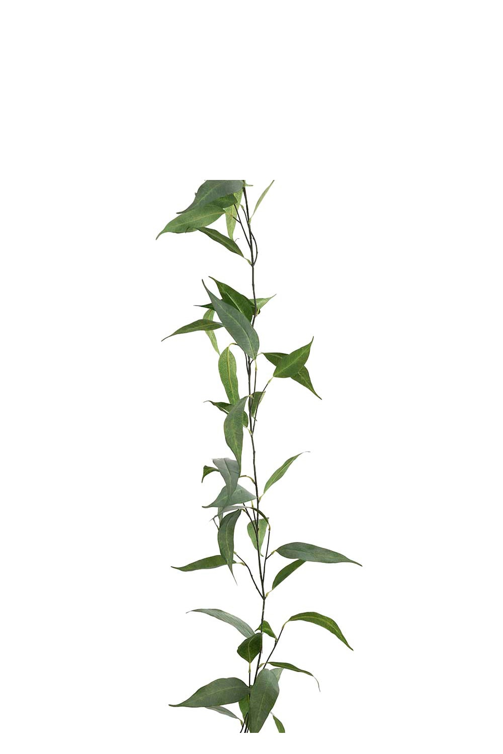 Kunstig grønn Eucalyptus-girlander 190 cm