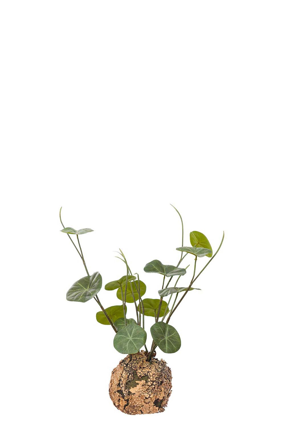 Kunstig grønn Stephania 30 cm