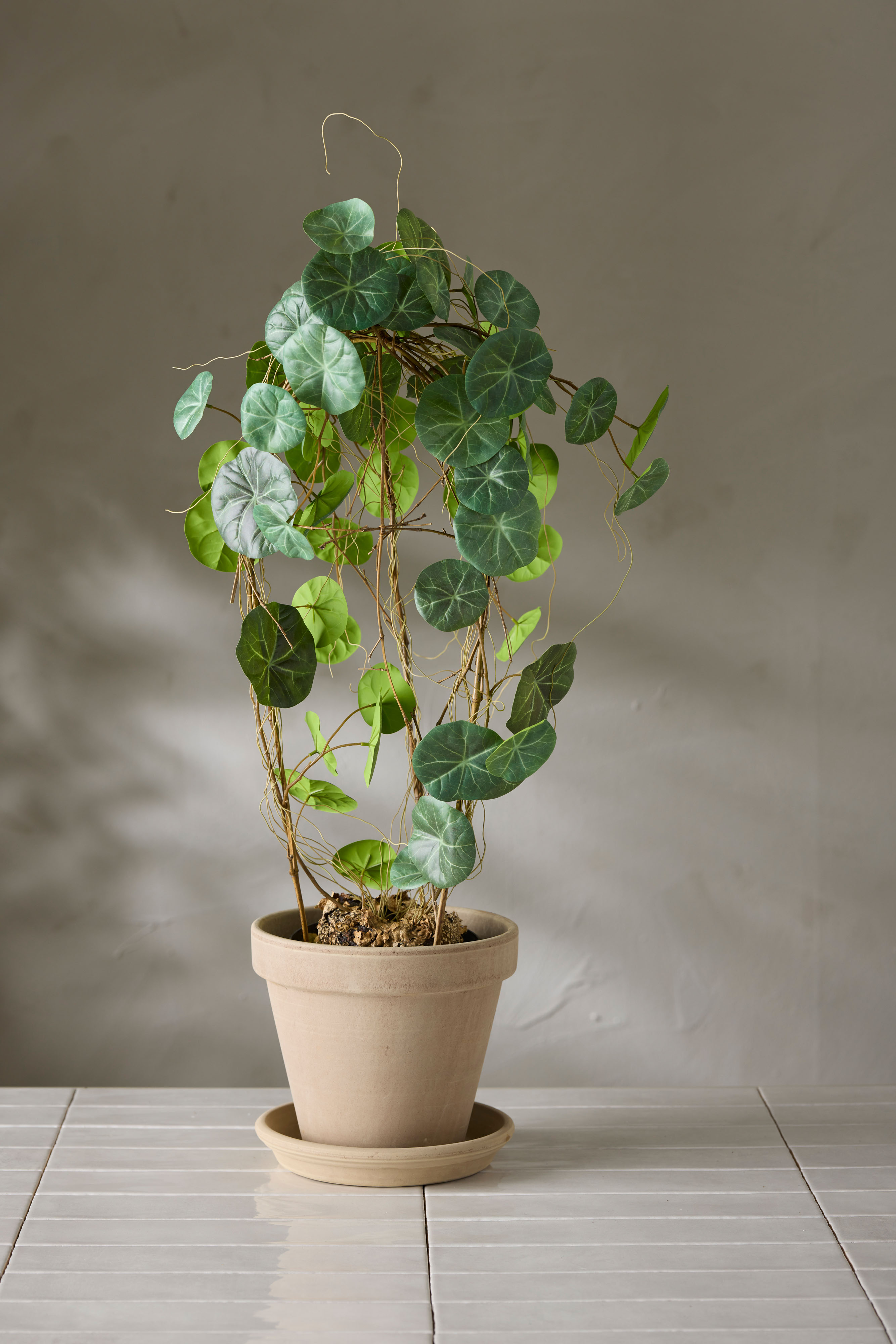 Kunstig grønn Stephania 70 cm