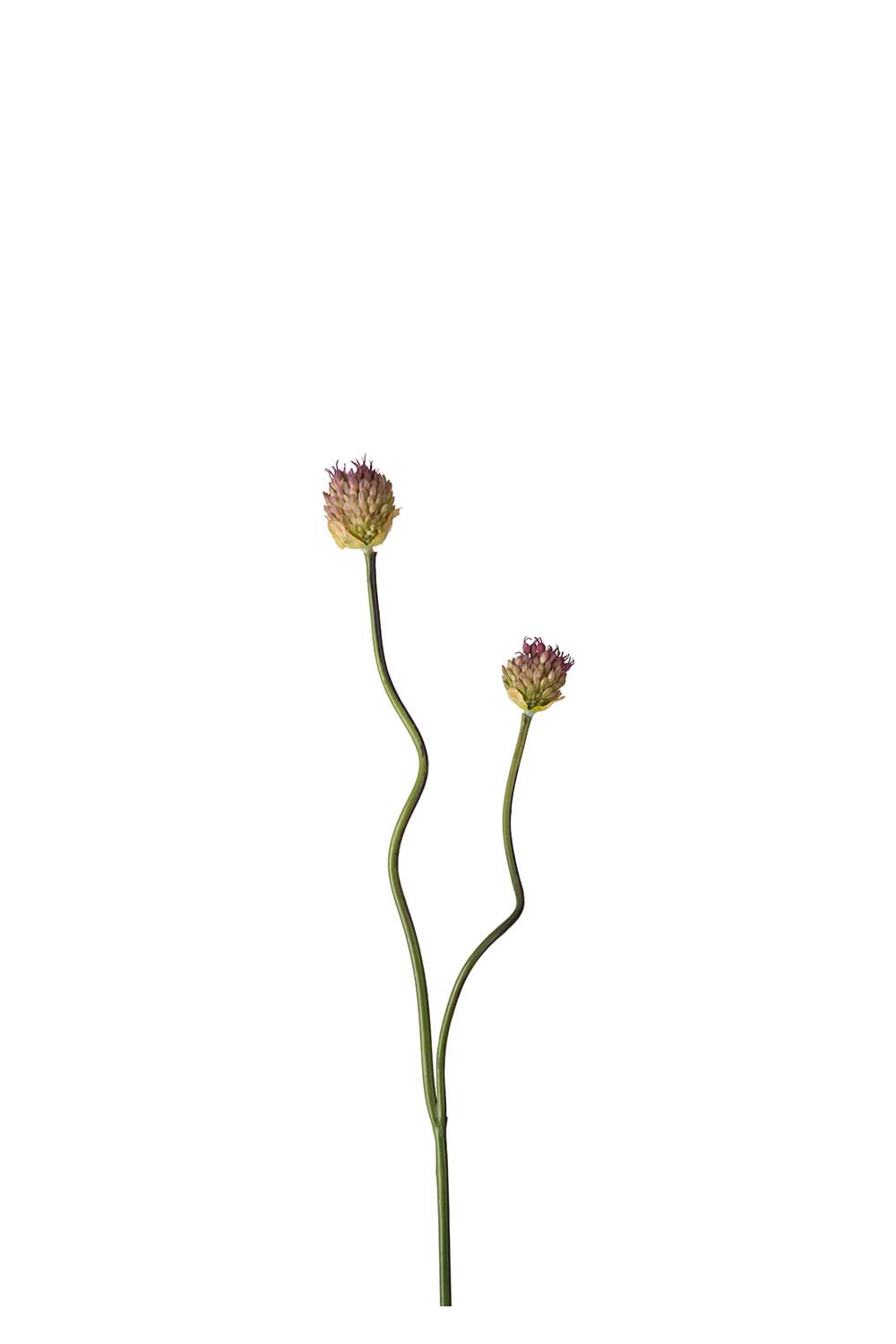 Kunstig lilla Allium 65 cm