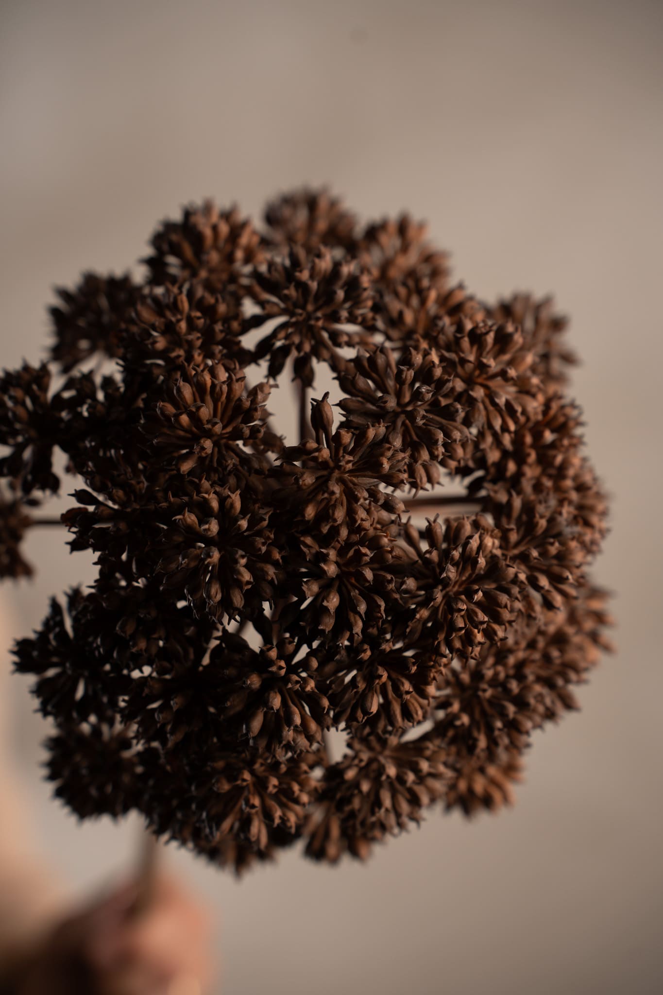 Kunstig brun Angelica 95 cm
