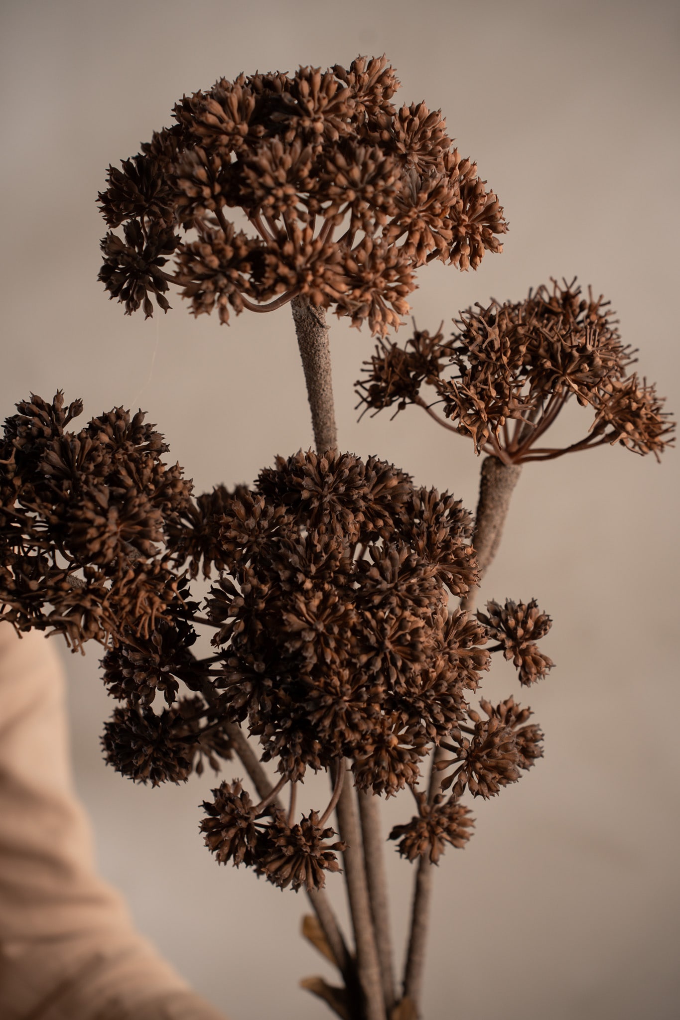 Kunstig brun Angelica 125 cm