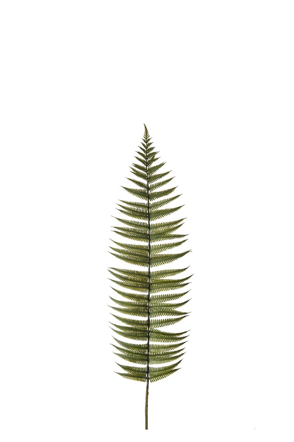 Kunstig grønn Ormbunksblad 105 cm