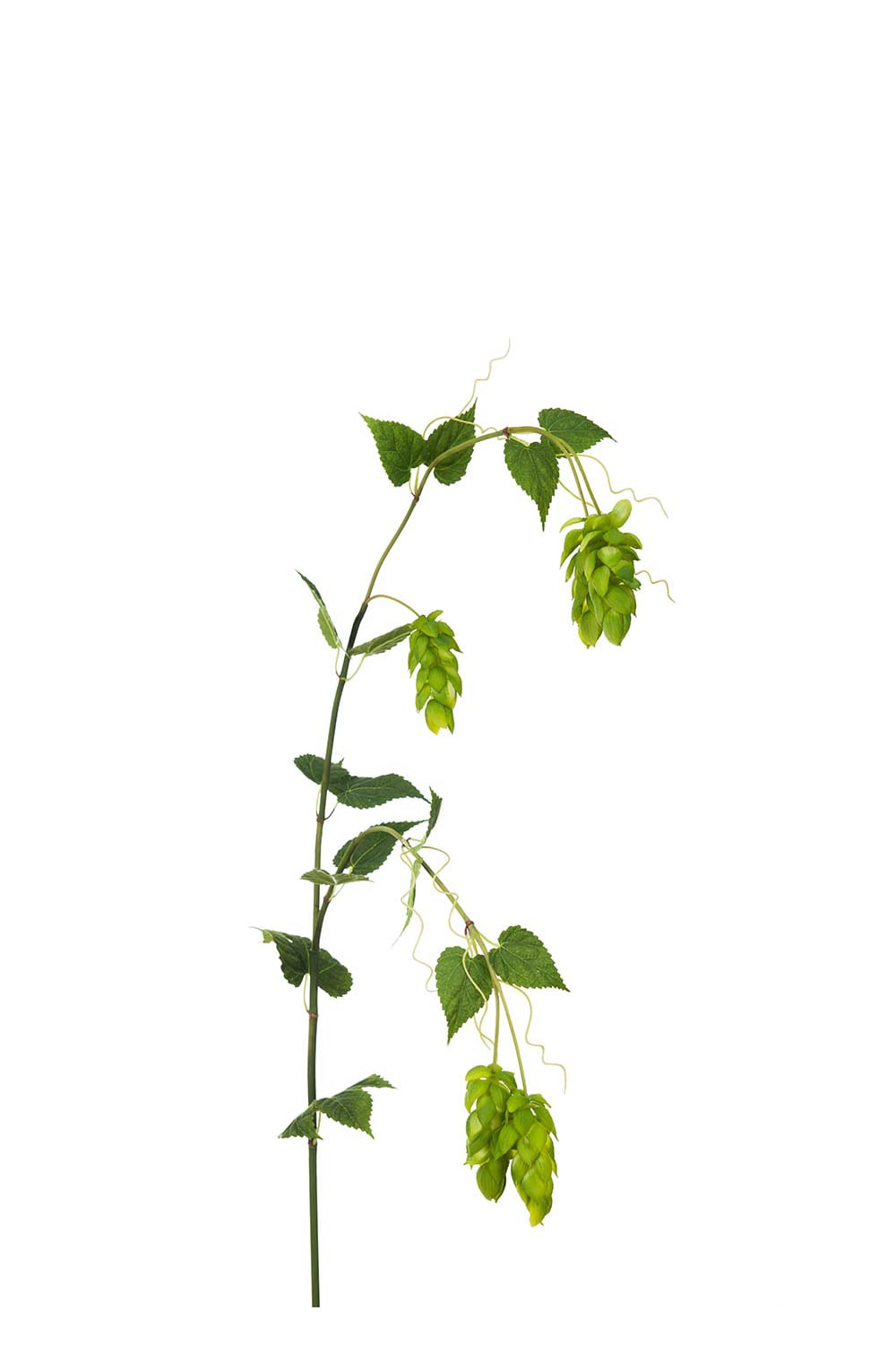 Kunstig grønn humle 115 cm
