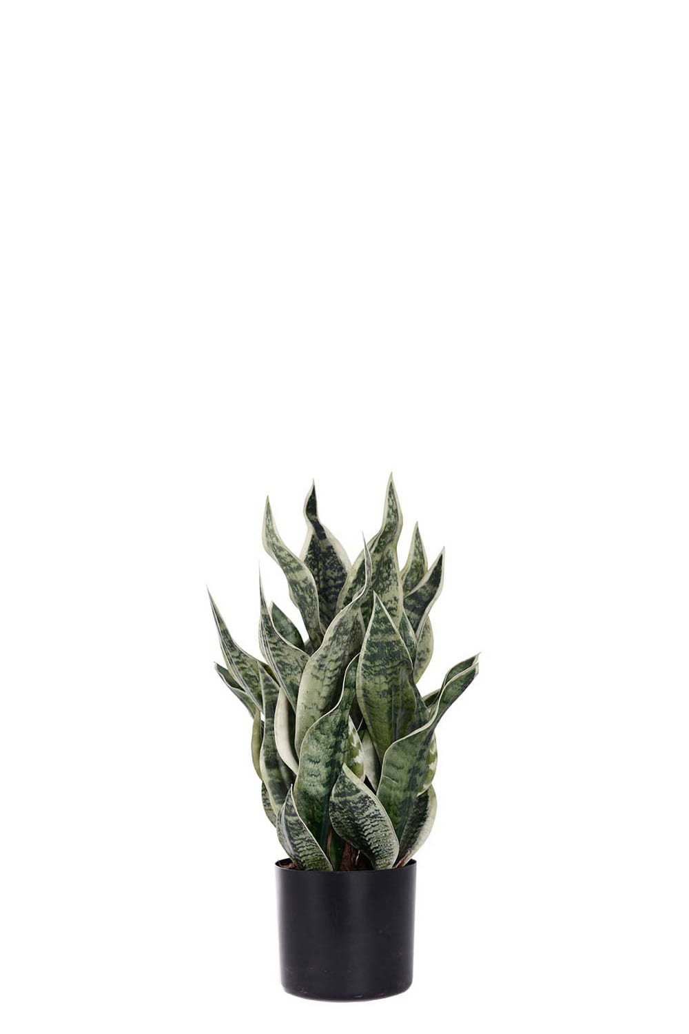 Kunstig grønn Sansevieria i potte 60 cm