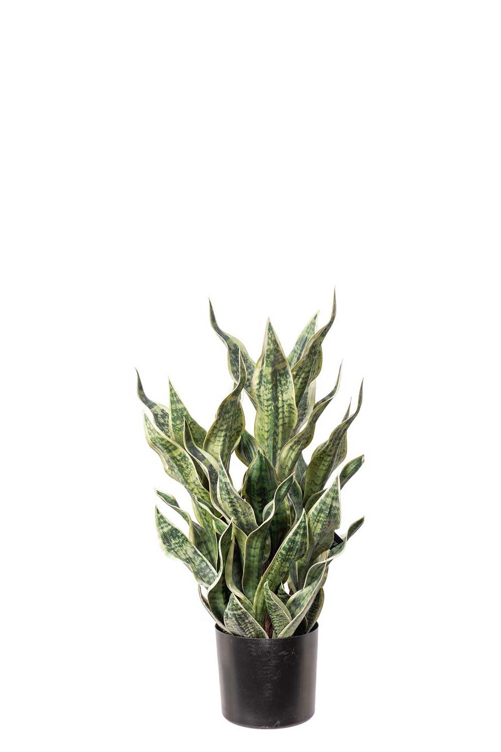 Kunstig grønn Sansevieria i potte 80 cm