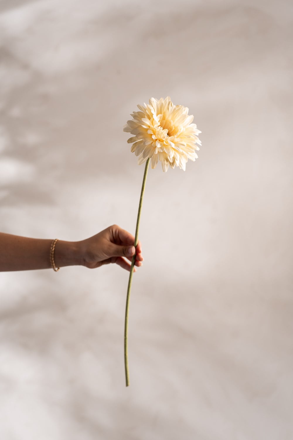 Kunstig kremfarget Gerbera 55 cm