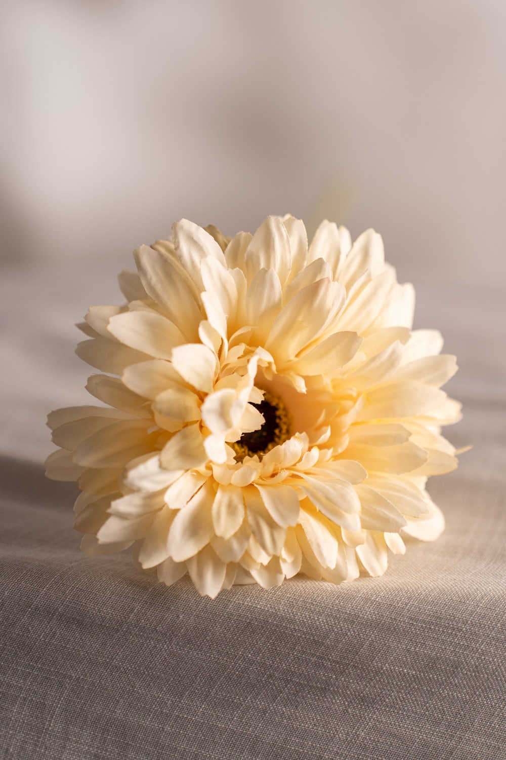 Kunstig kremfarget Gerbera 55 cm