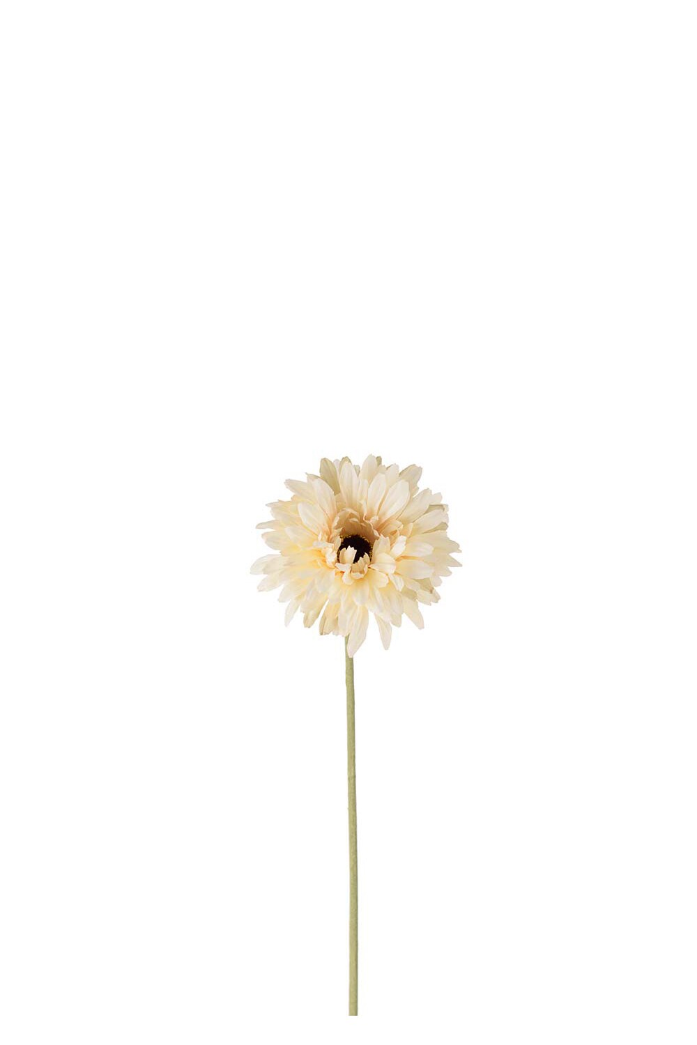 Kunstig kremfarget Gerbera 55 cm
