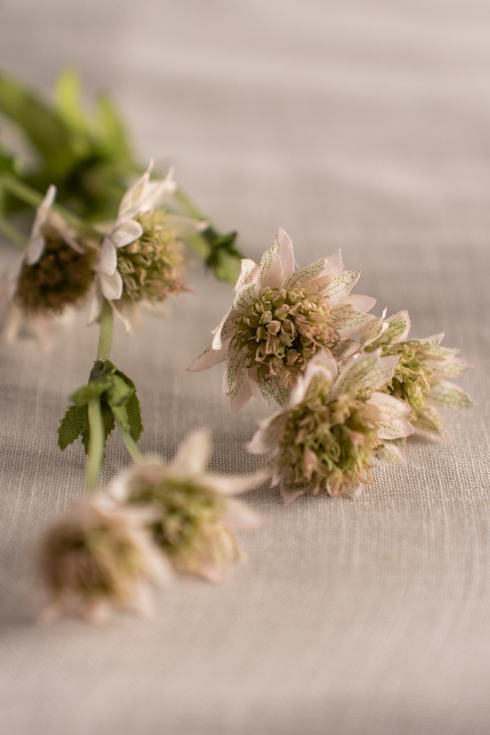 Kunstig rosa Astrantia 55 cm