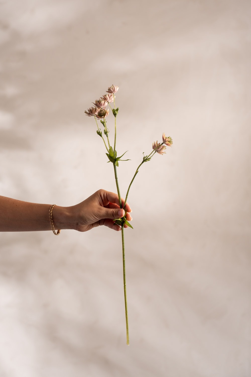 Kunstig rosa Astrantia 55 cm
