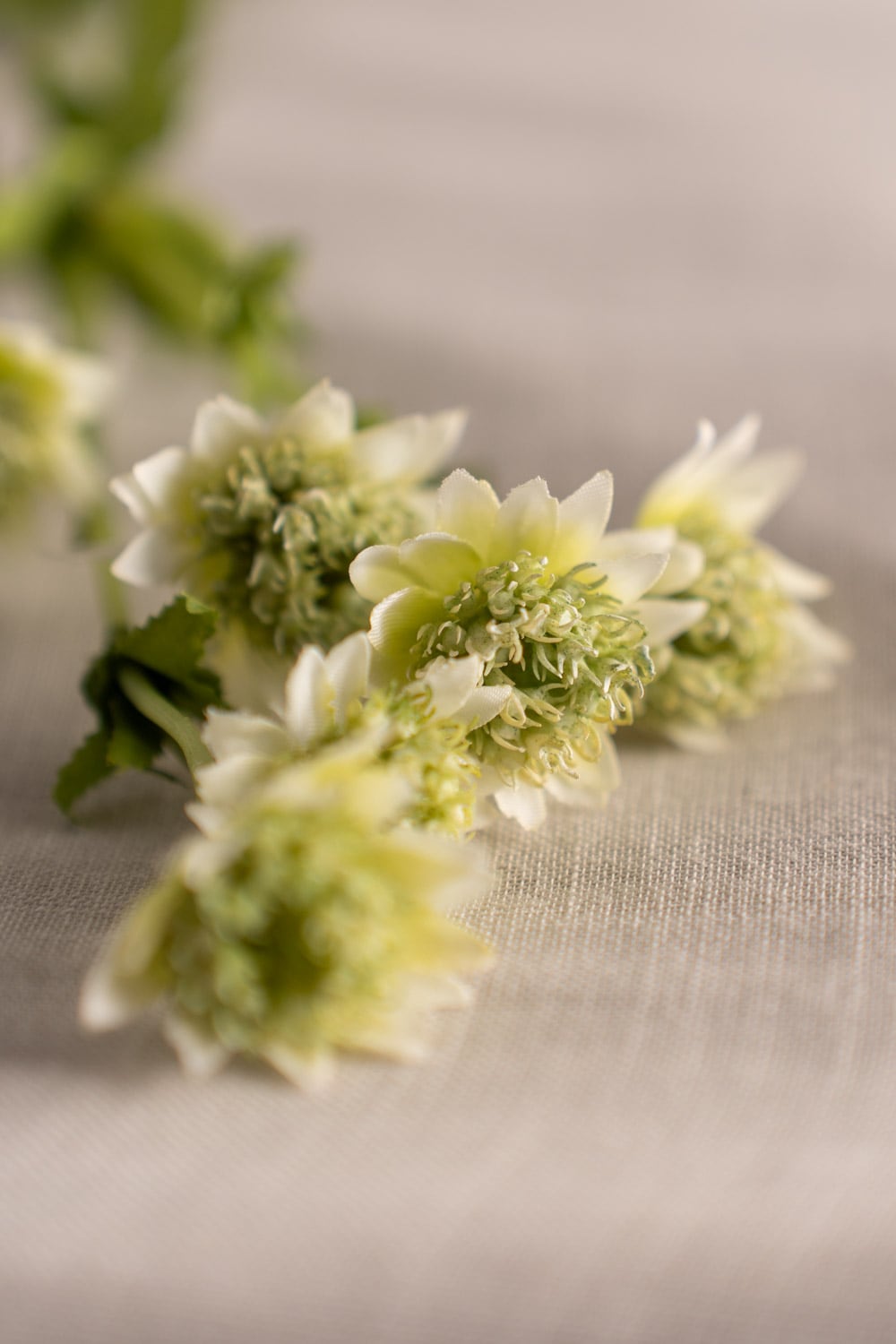 Kunstig grønn Astrantia 55 cm