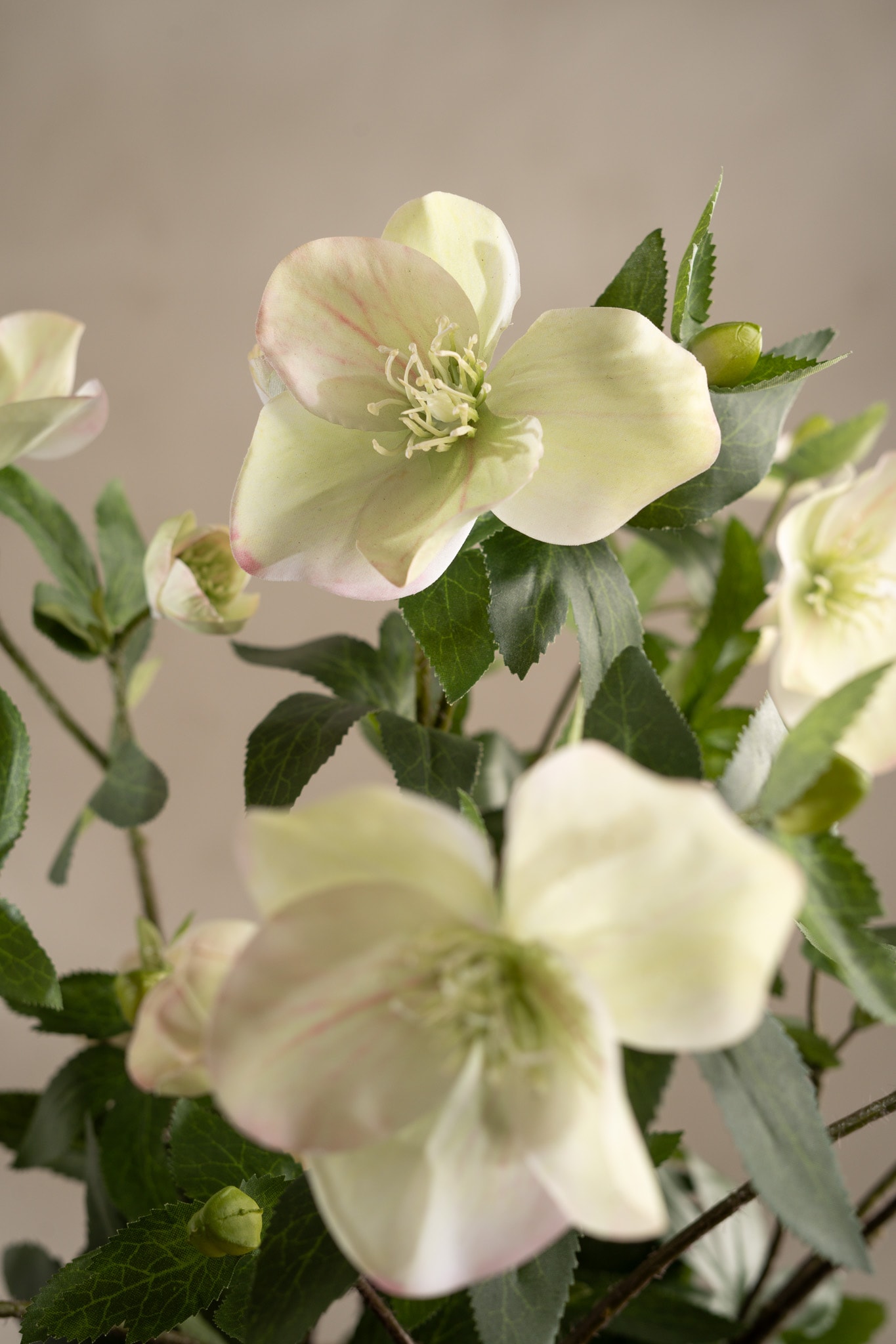 Kunstig grønn Helleborus i Potte 55 cm